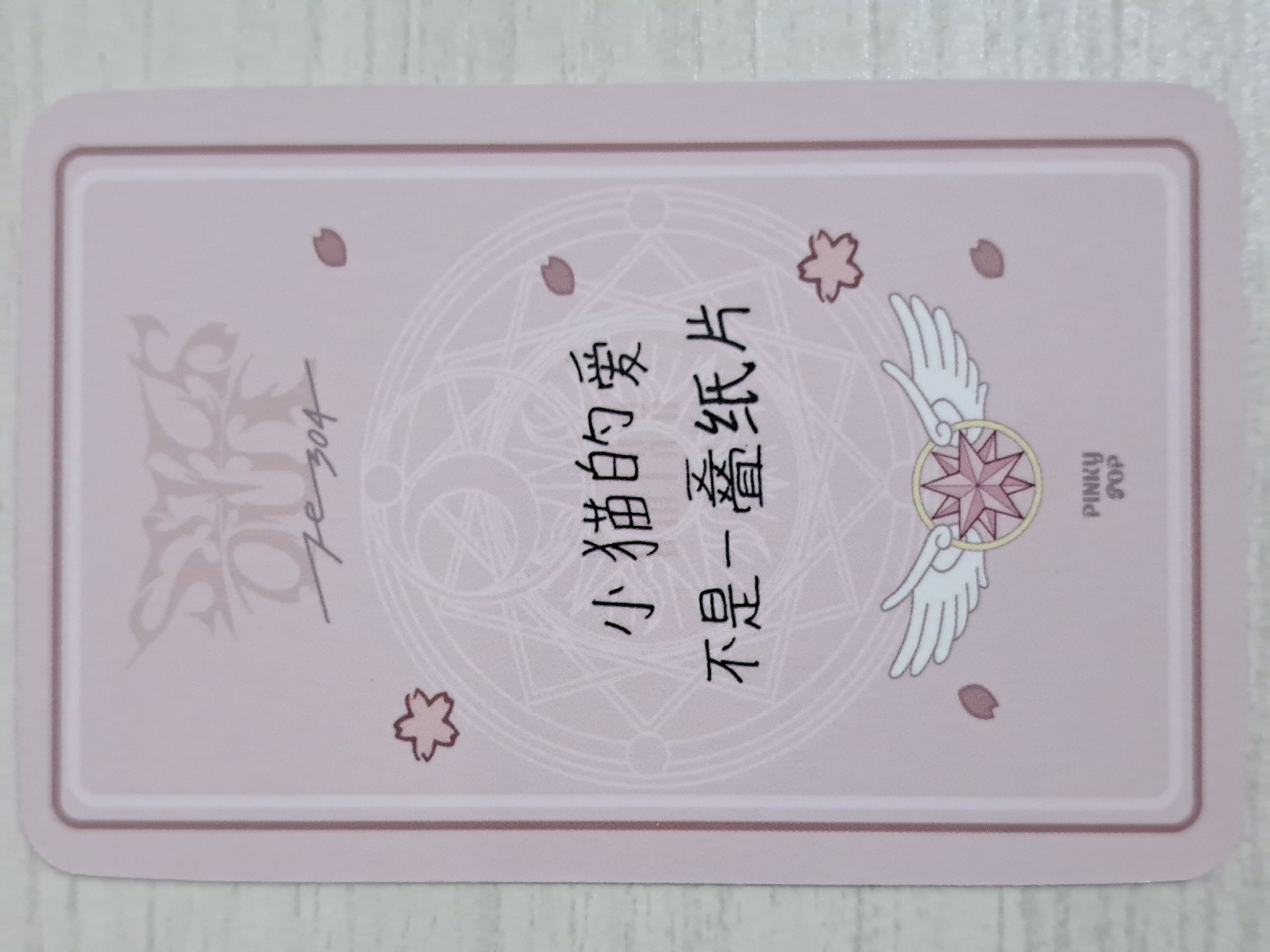 STICK OUT pinkypop 簽售卡 PP 小櫻圭 小貓的愛不是一疊紙片