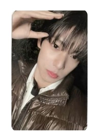 崔立于 電子專專卡 狗耳