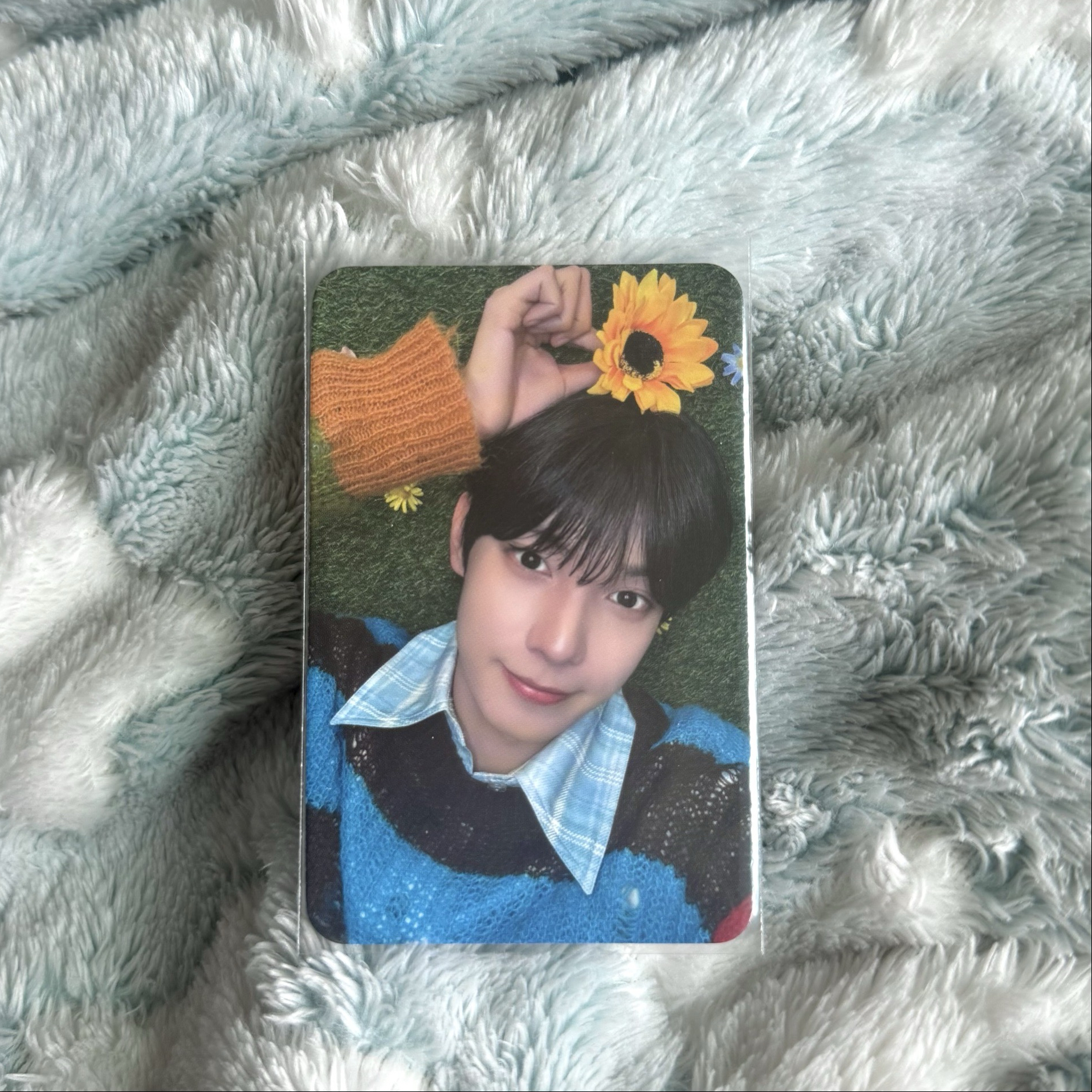 崔立于 音中打歌卡