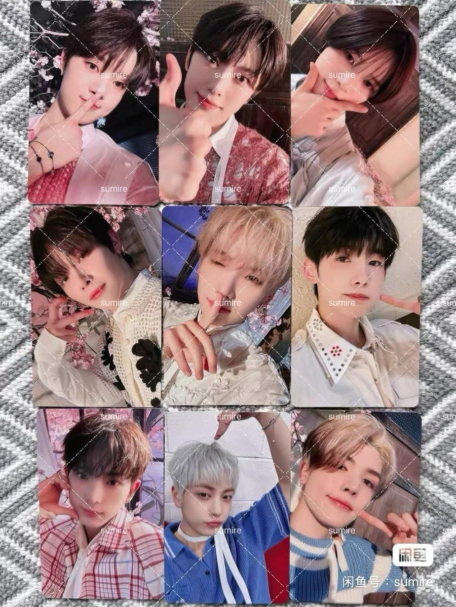 &TEAM五月雨一直娛2.0 3.0特典卡+未拆專