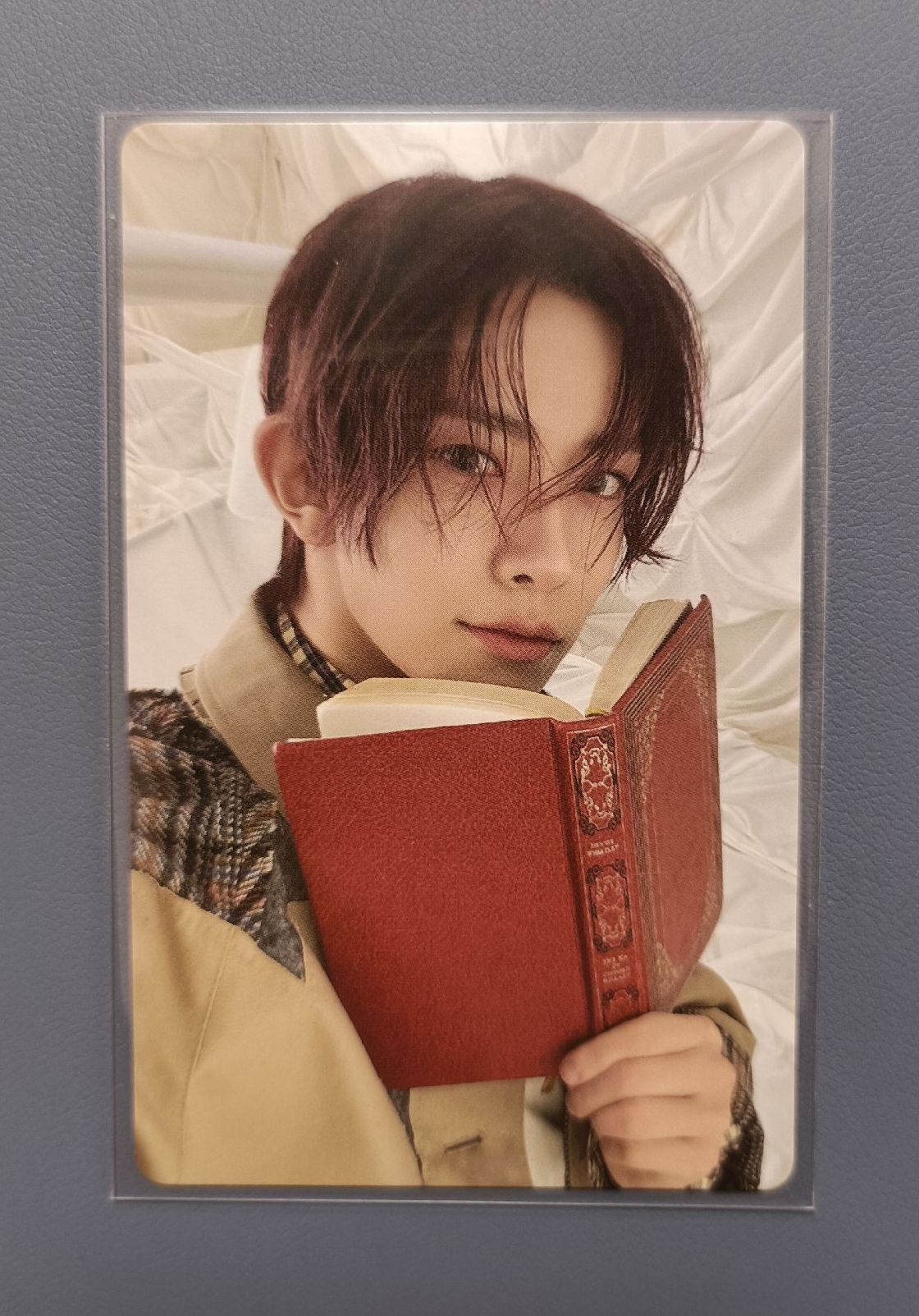 heli愛看書人設🈶