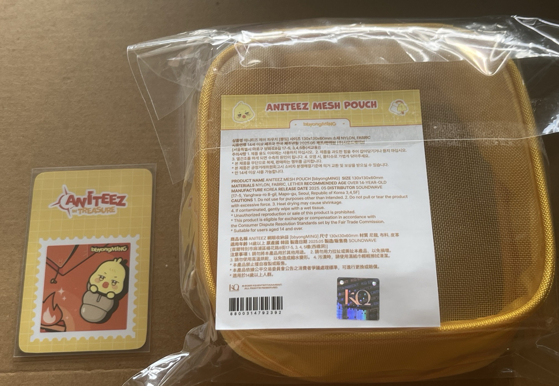 ANITEEZ IN TREASURE 台北限定網包 蹦旼