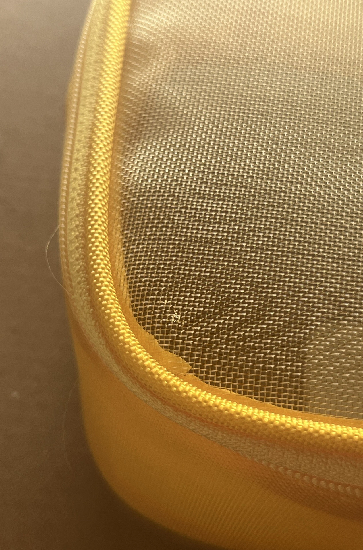 ANITEEZ IN TREASURE 台北限定網包 蹦旼