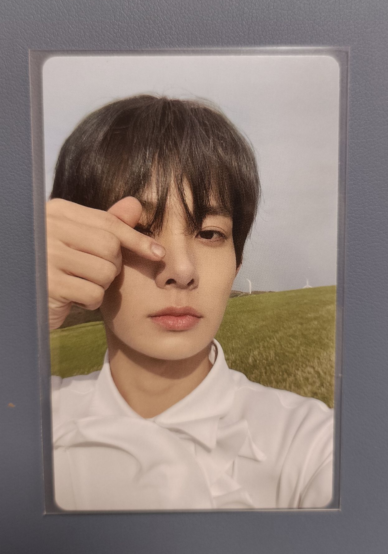 永遠偉大的綠髮