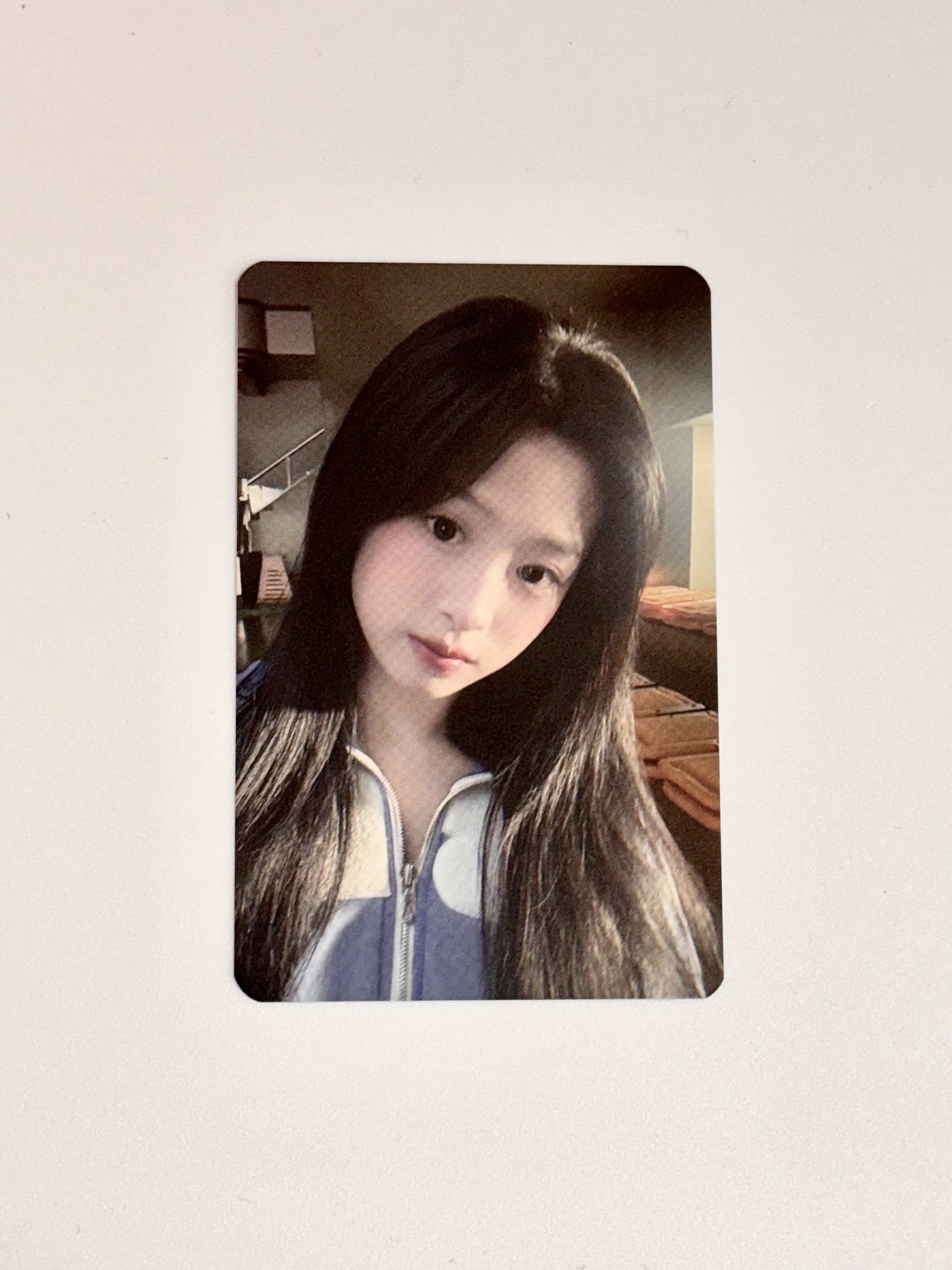 25世巡相框卡 賢