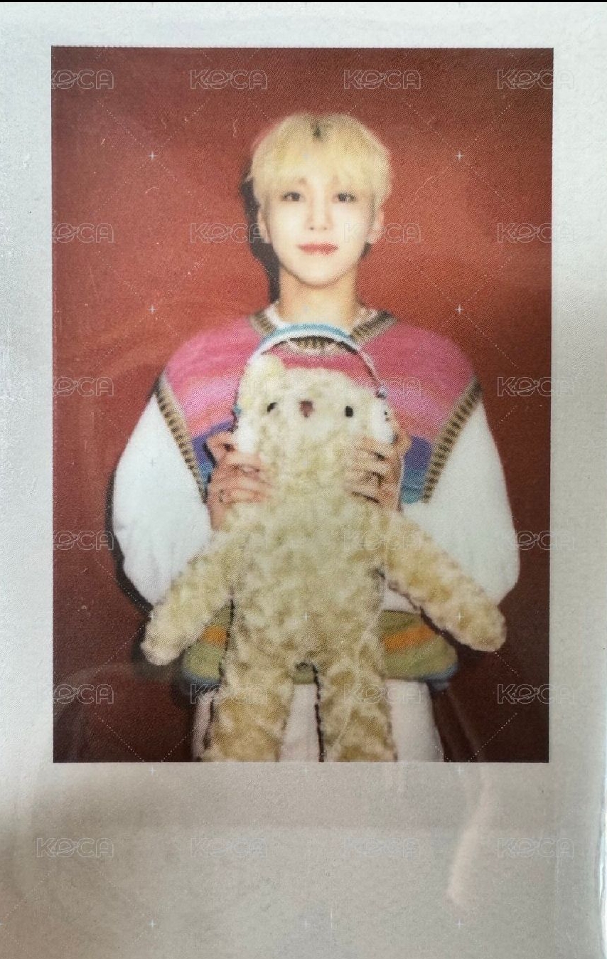 THE NAME 雜誌卡 拍立得 抱熊寛