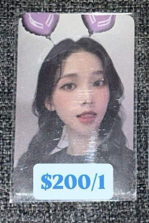 愛寶樂園 周邊卡 1.0 髮箍柚