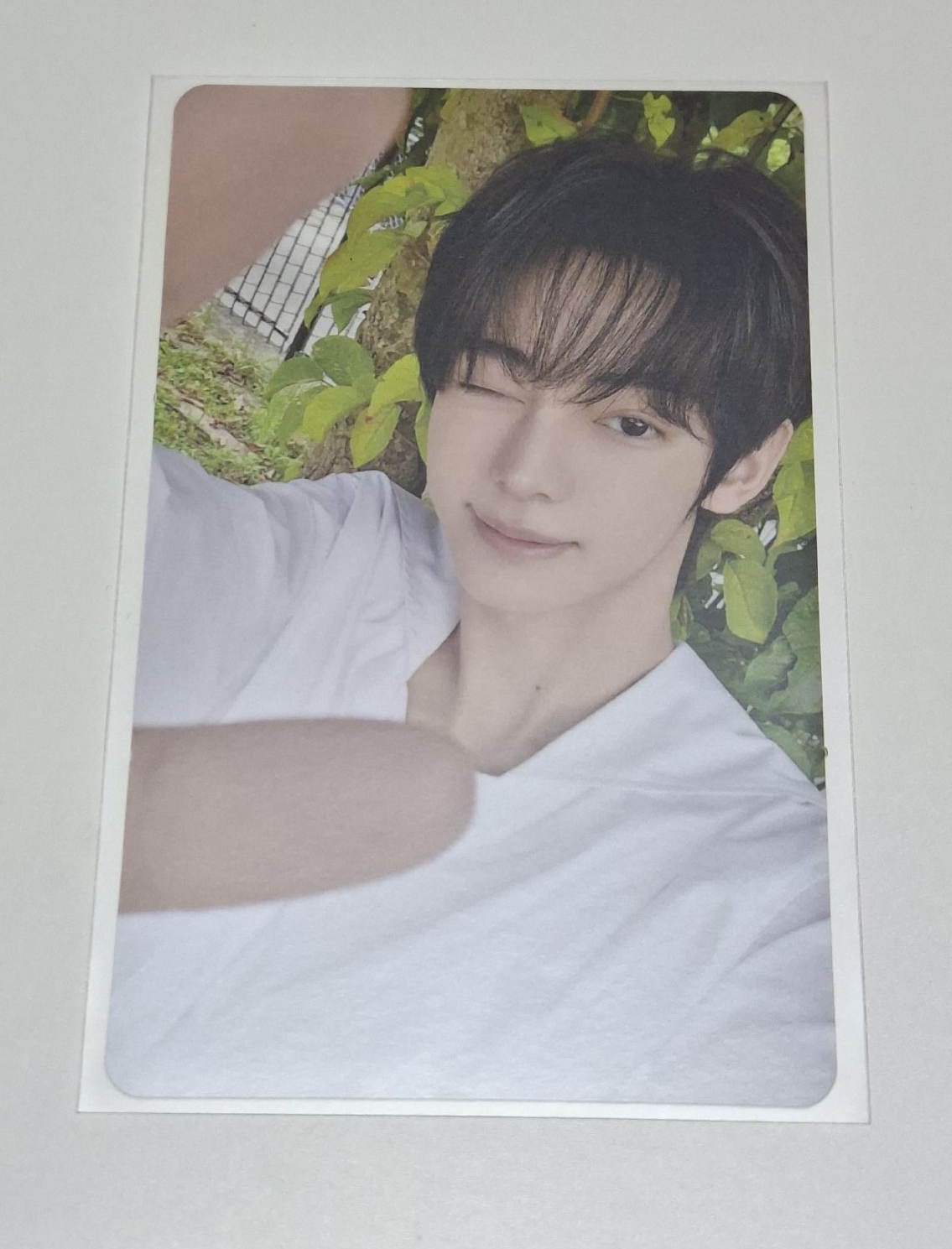 TWS日專 環球特典卡 韓振