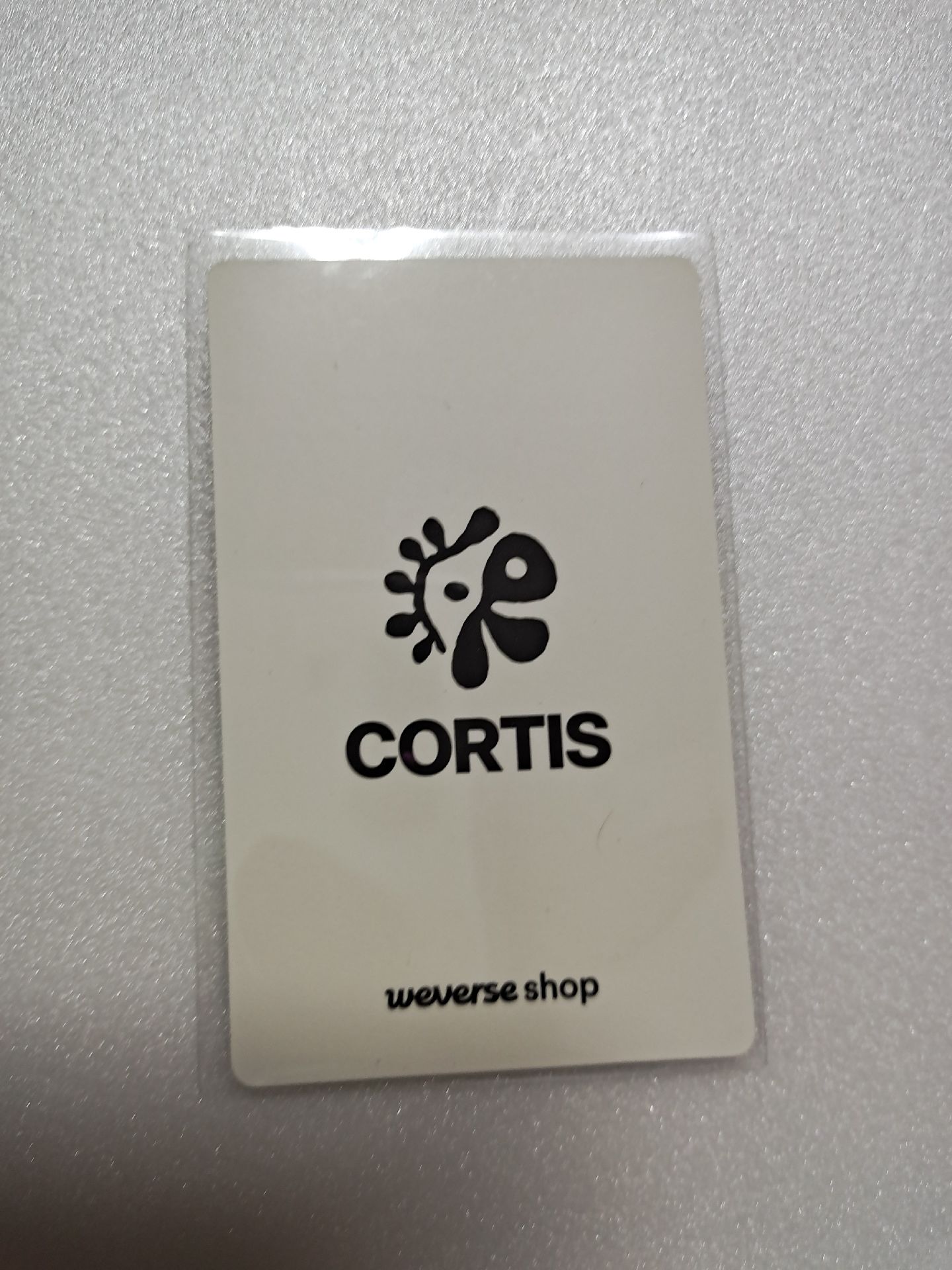 cortis 預購特典