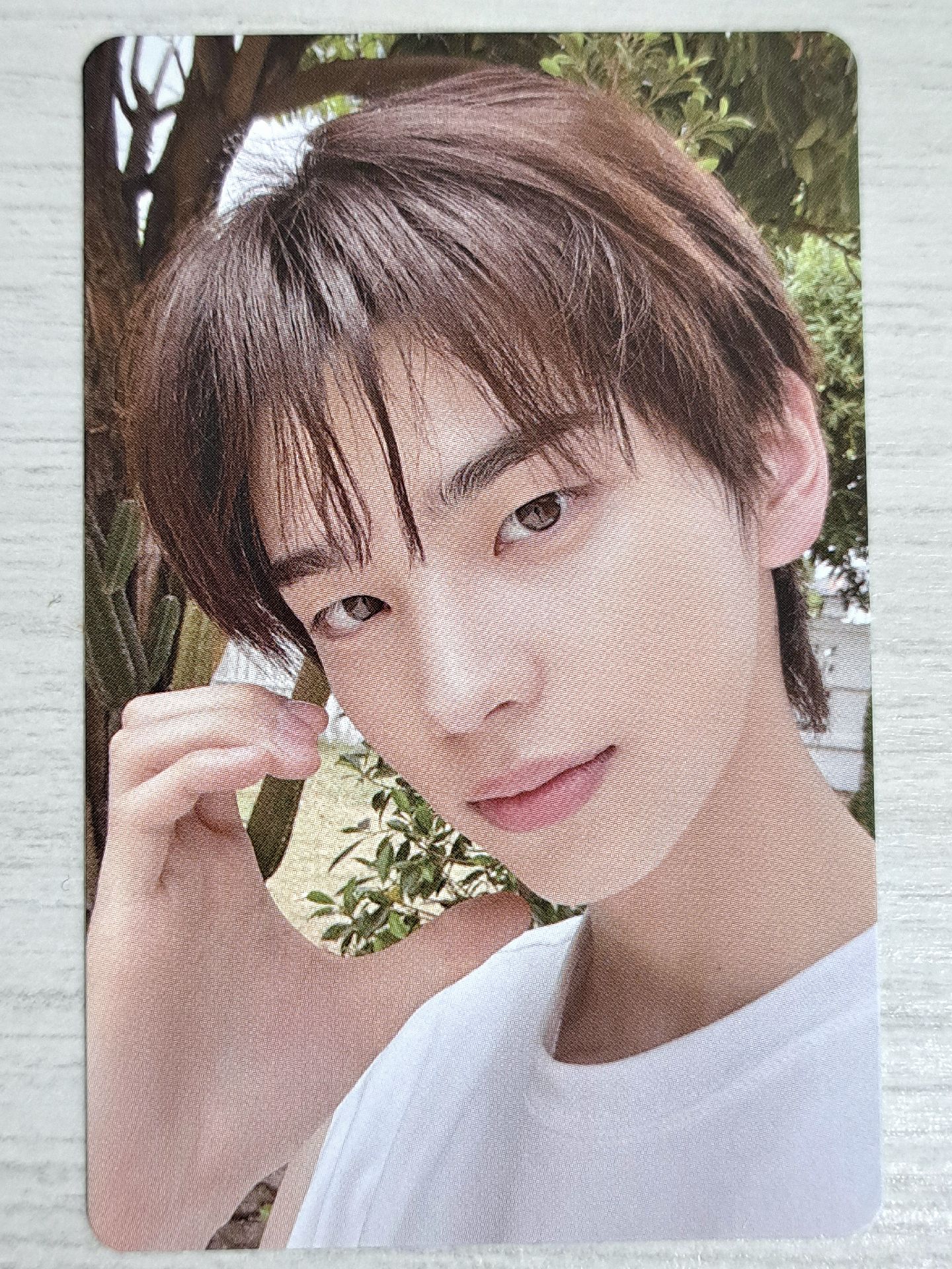 SUMMER BEAT! 專輯卡 NOW ver. 申惟