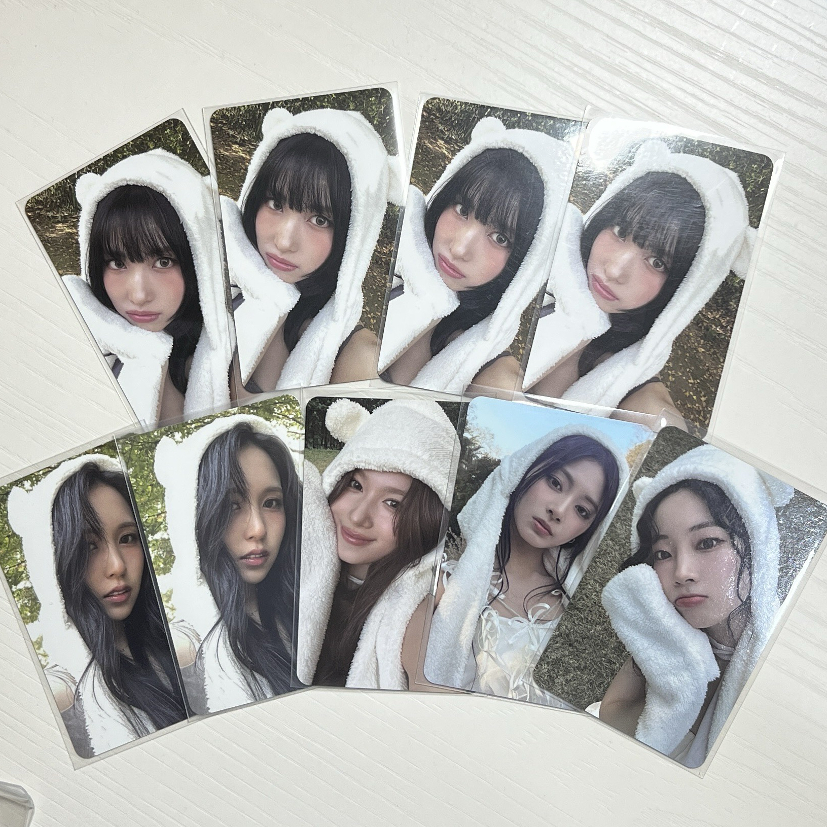 TWICE 專卡 熊帽 白帽