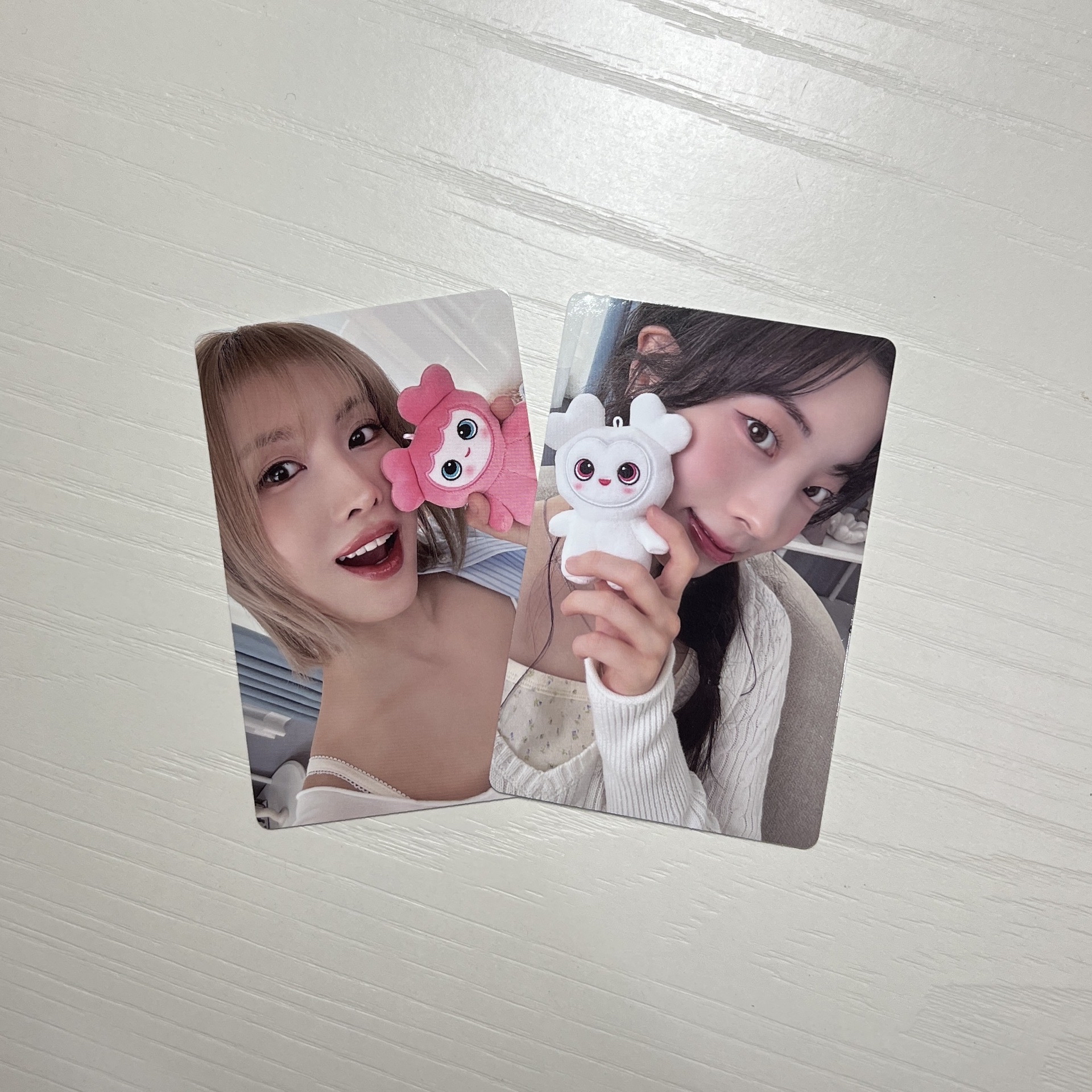 TWICE 五期會員禮