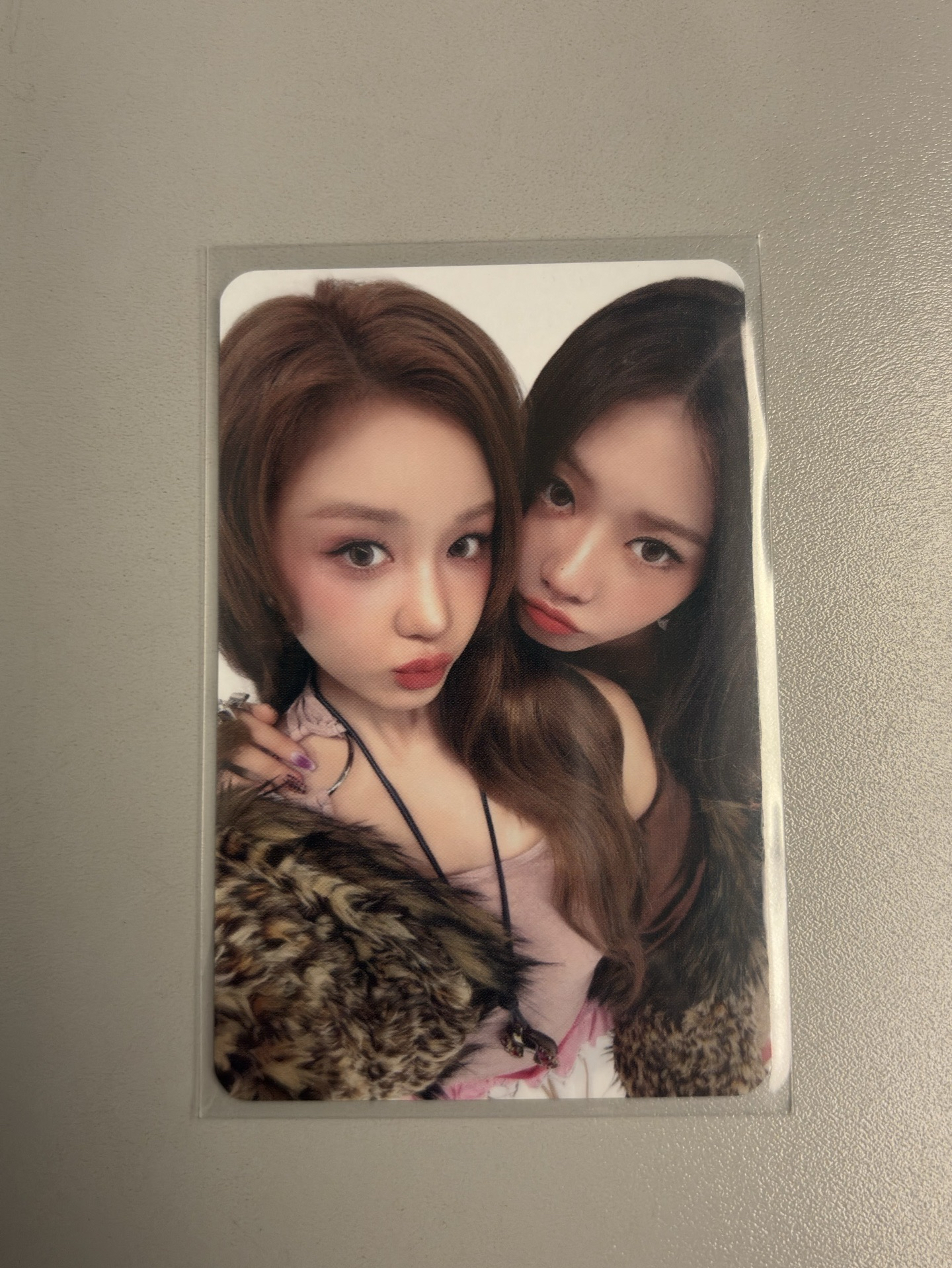 一些寶怪Pharita的卡