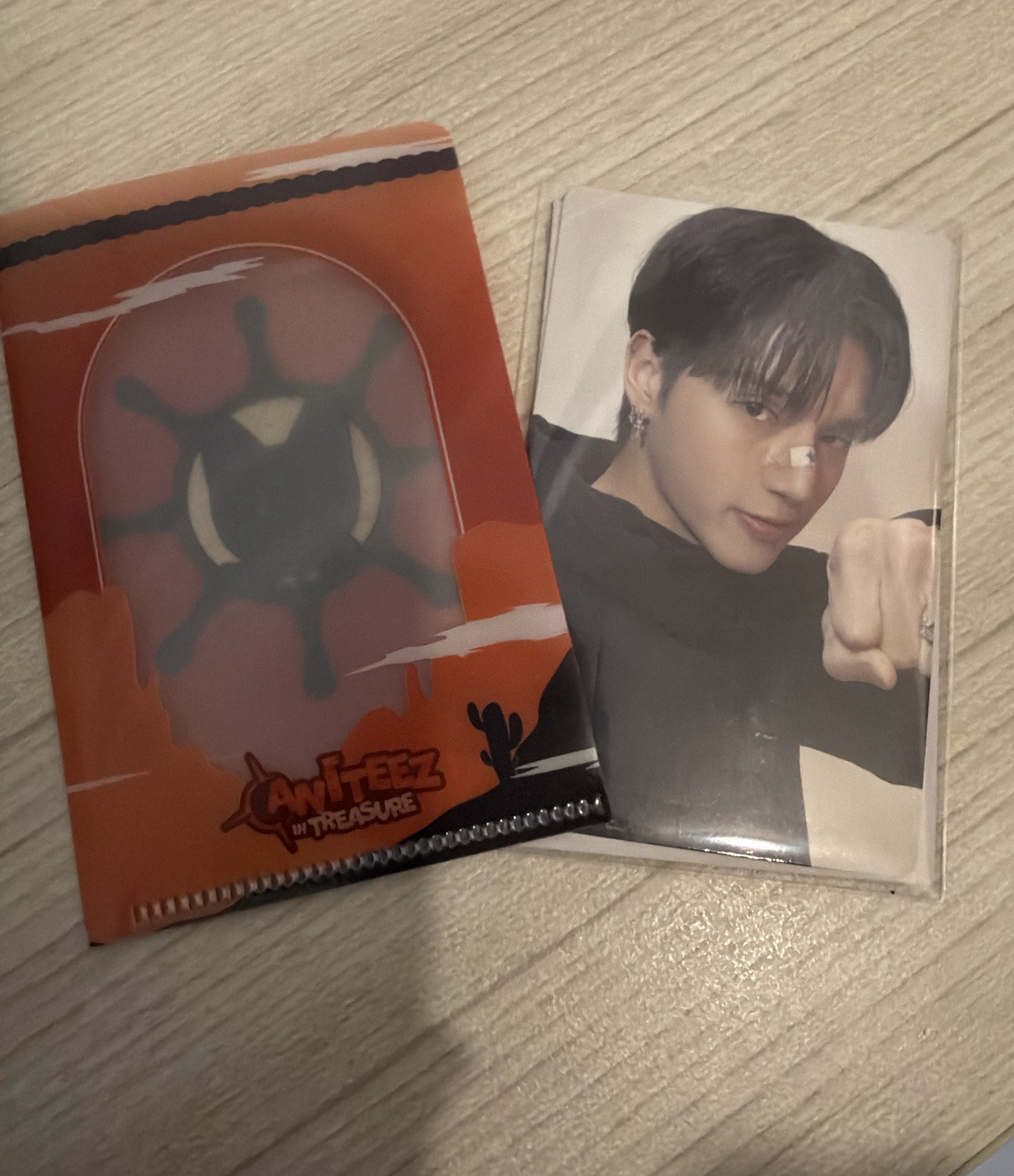 ANITEEZ IN TREASURE 鄭友榮 任務卡 