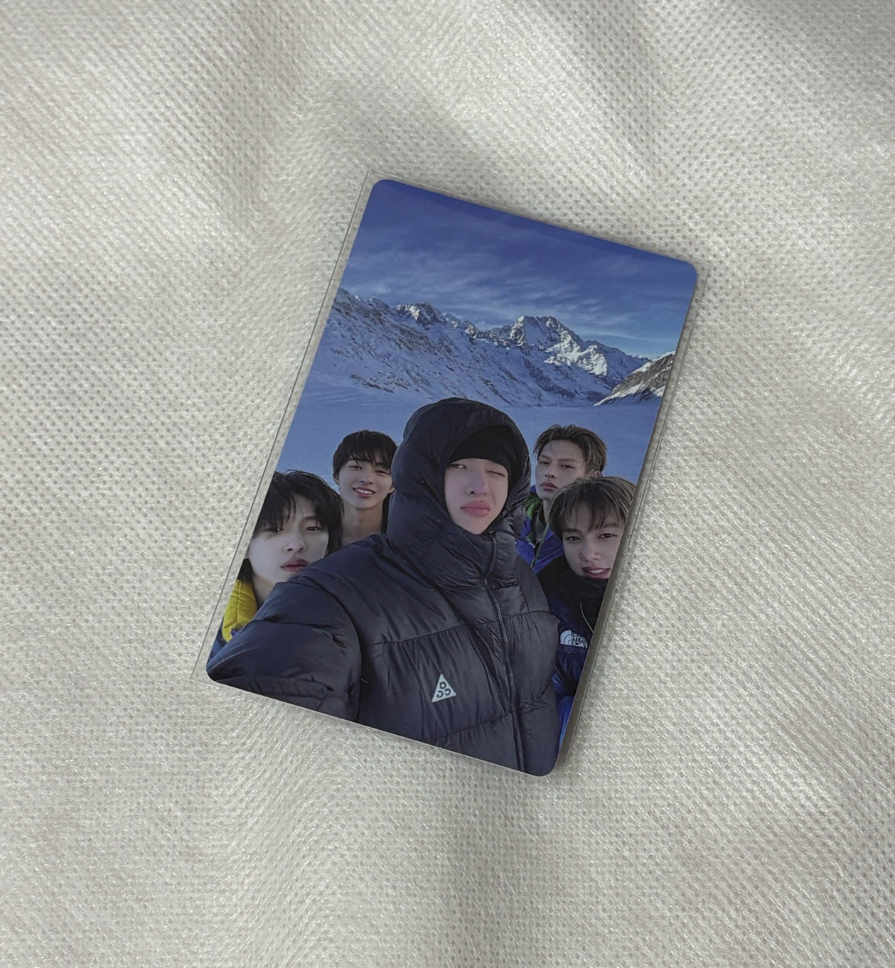 cortis wvs直播團卡