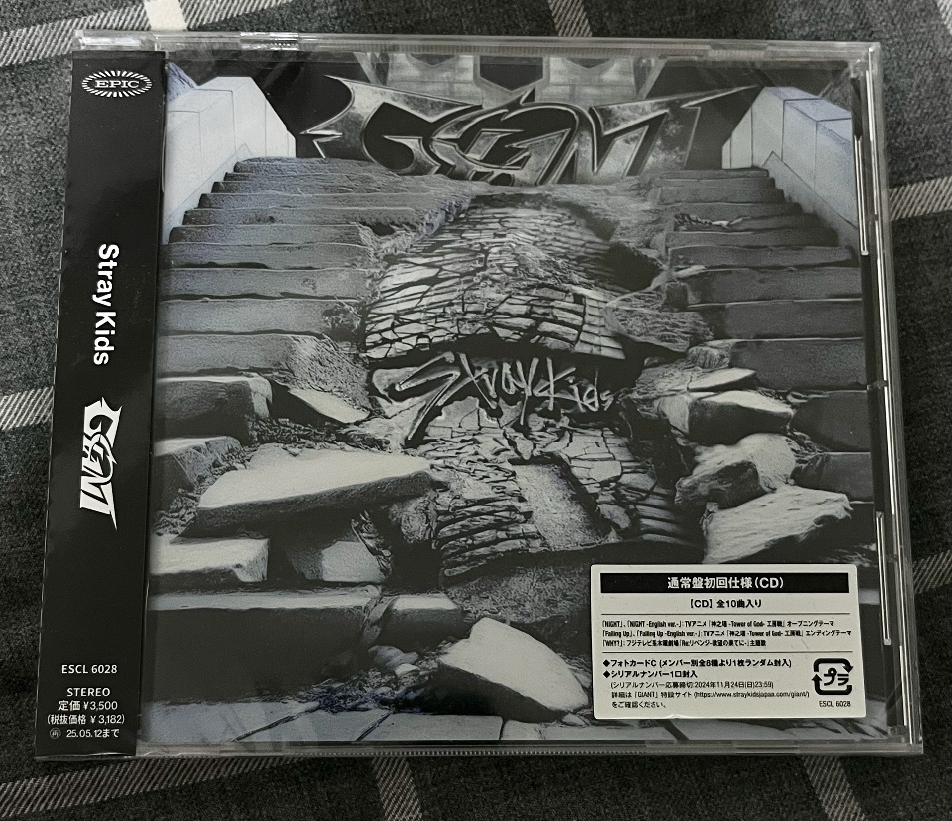 🖤Giant 日專 普版未拆