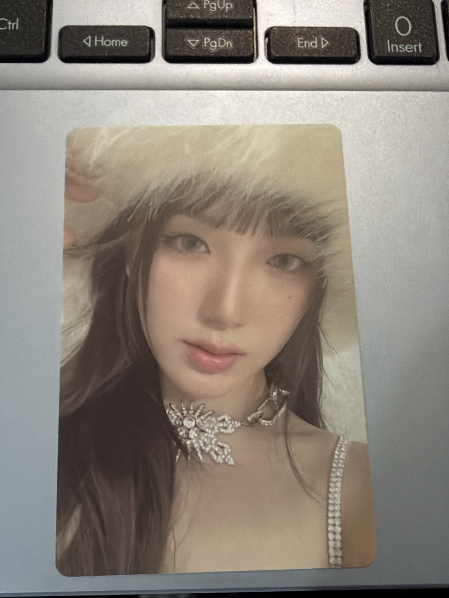 正規二 專卡 舒華