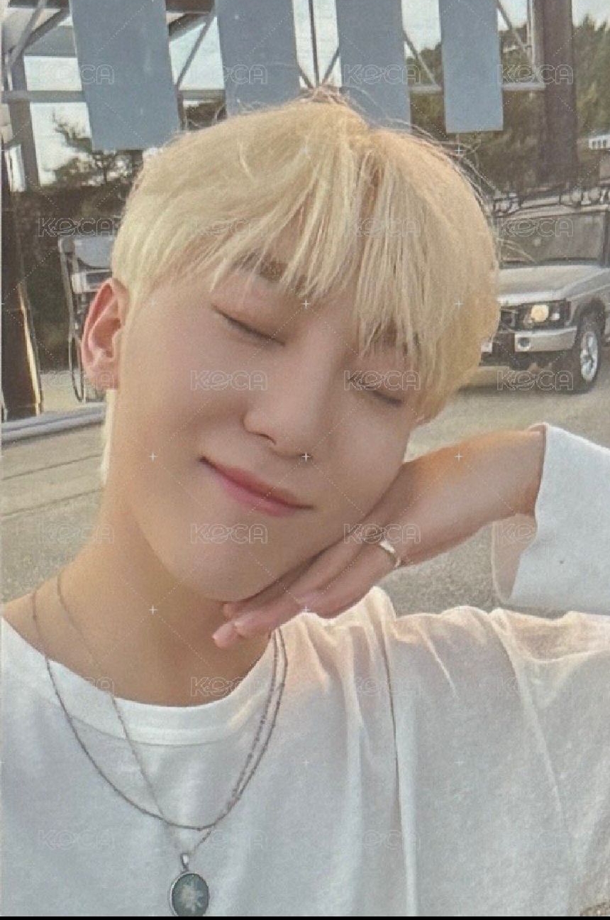 正四後續 wvs /aladin 特典卡 