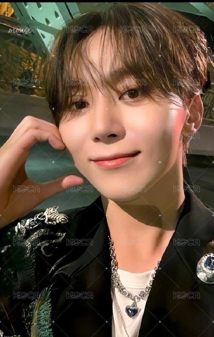 MINI11 環球 愛知 入場卡 / 場限卡 