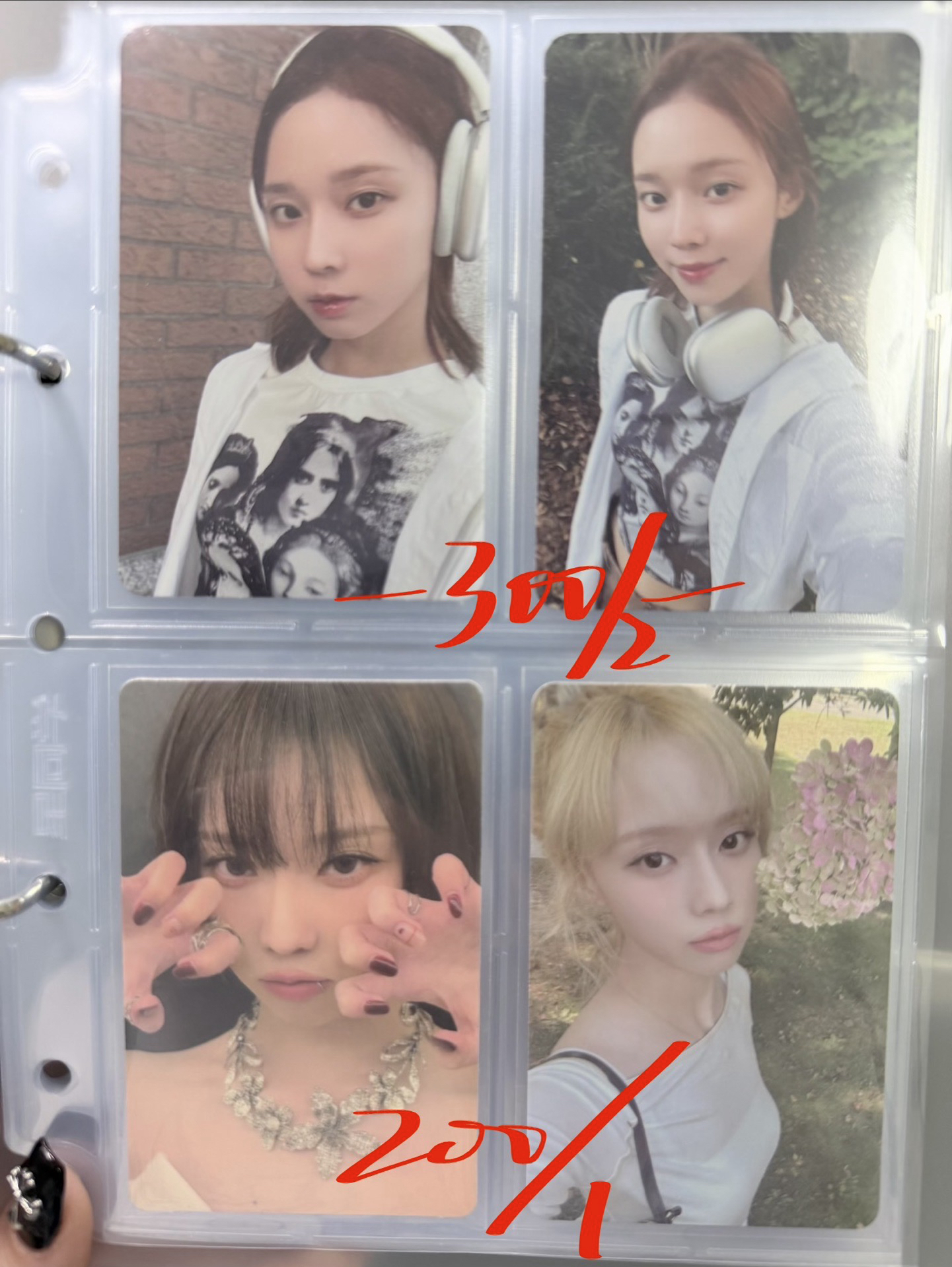 戛納、23、25、小熊*2