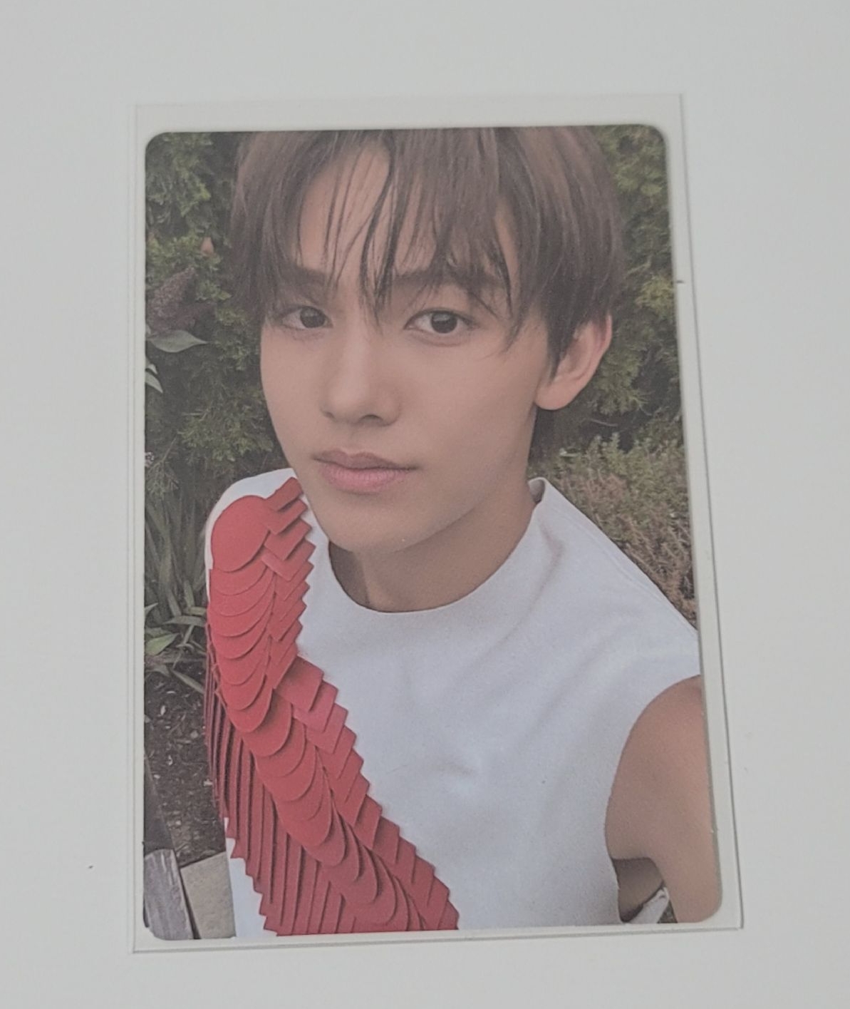 Cortis 美通專卡 玹