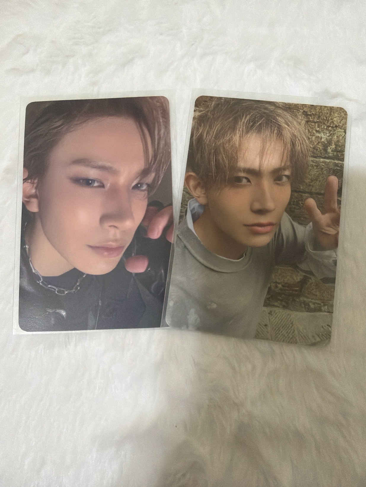 羲承 迷七 環球wvs單封特典