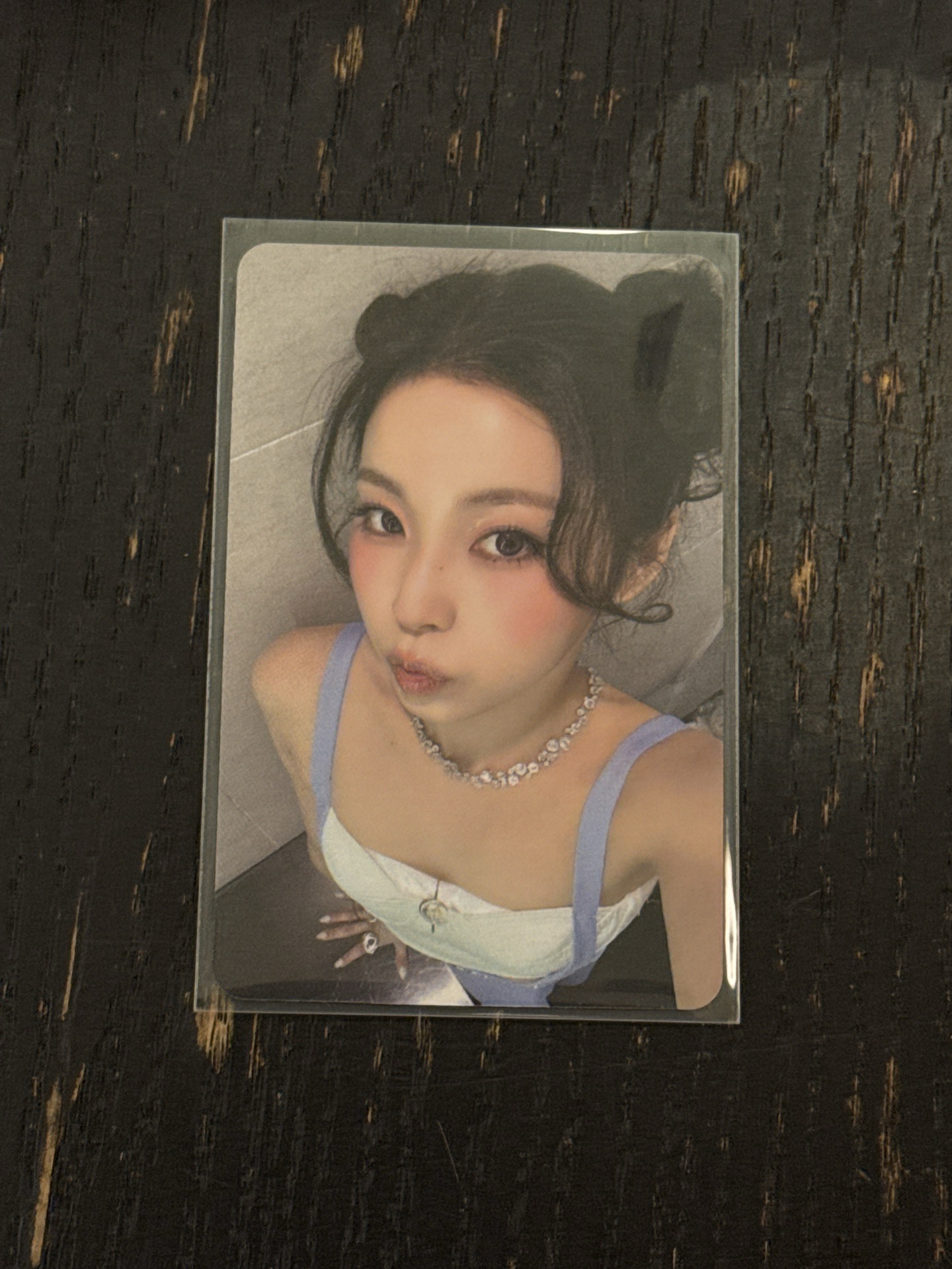 星河圭（卡背：貓貓領養卡）