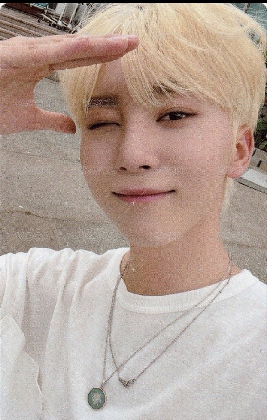 正四後續 專輯卡 WVS電子專ver.