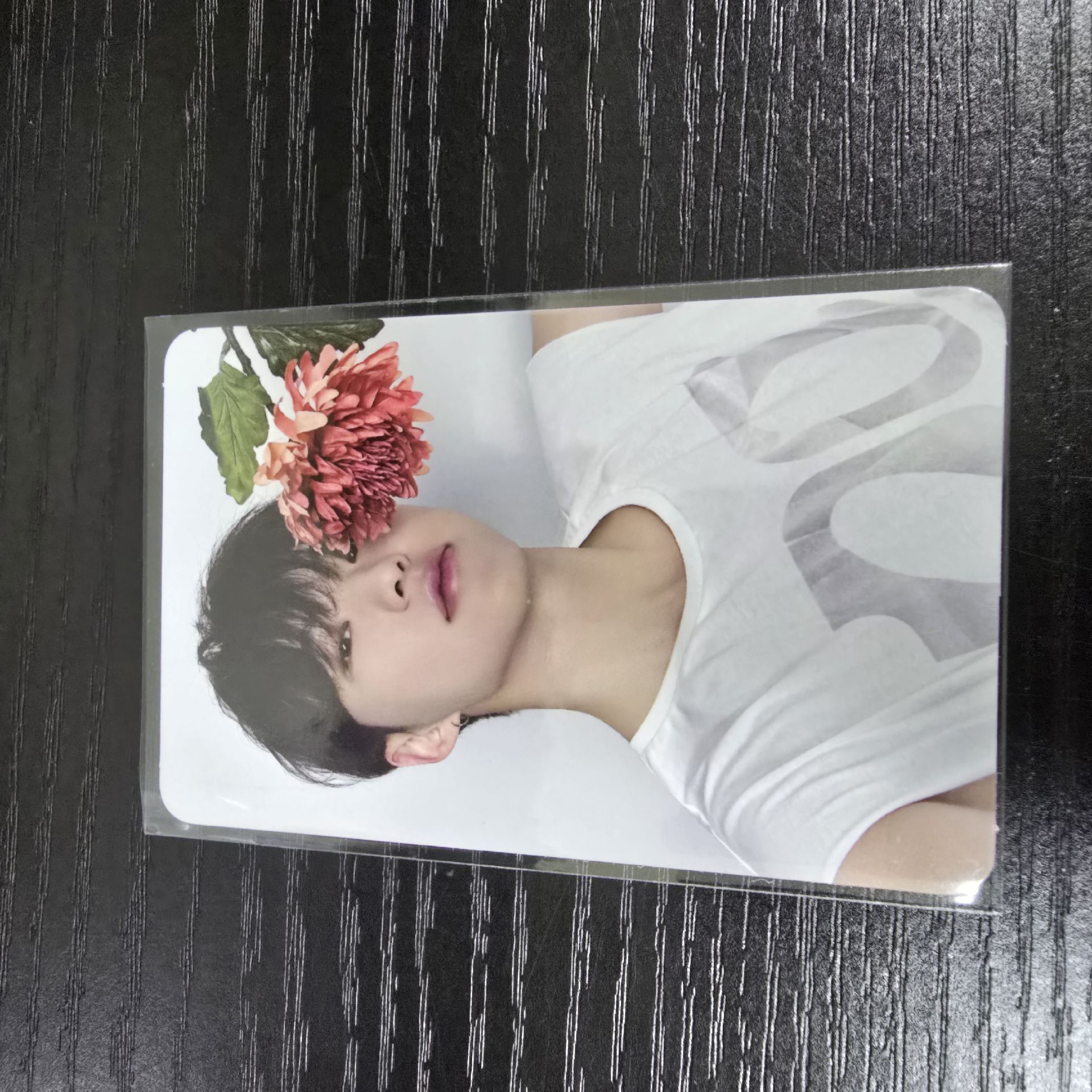 榮1｜綁奎八寛率燦任1