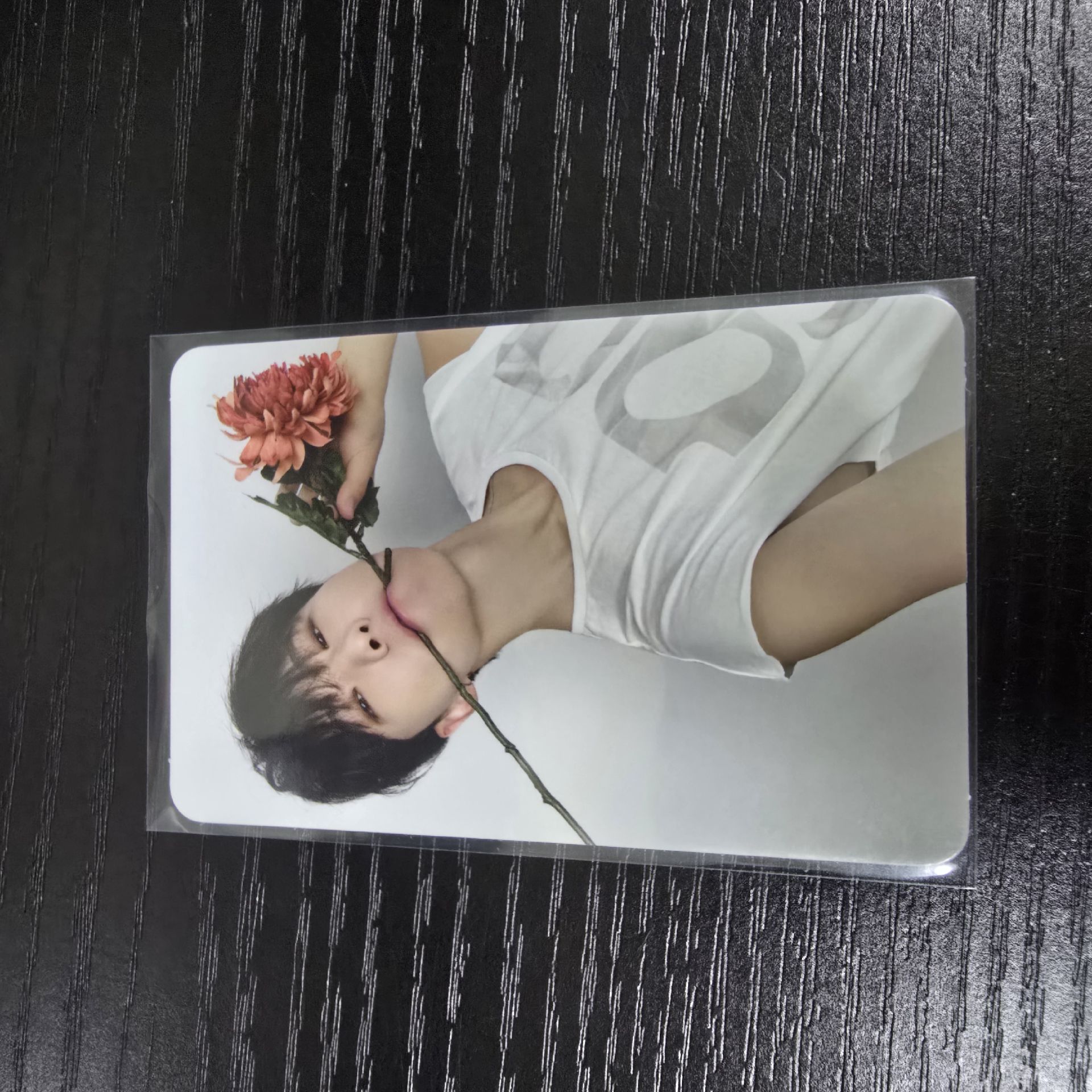 榮2｜綁奎八寛率燦任1