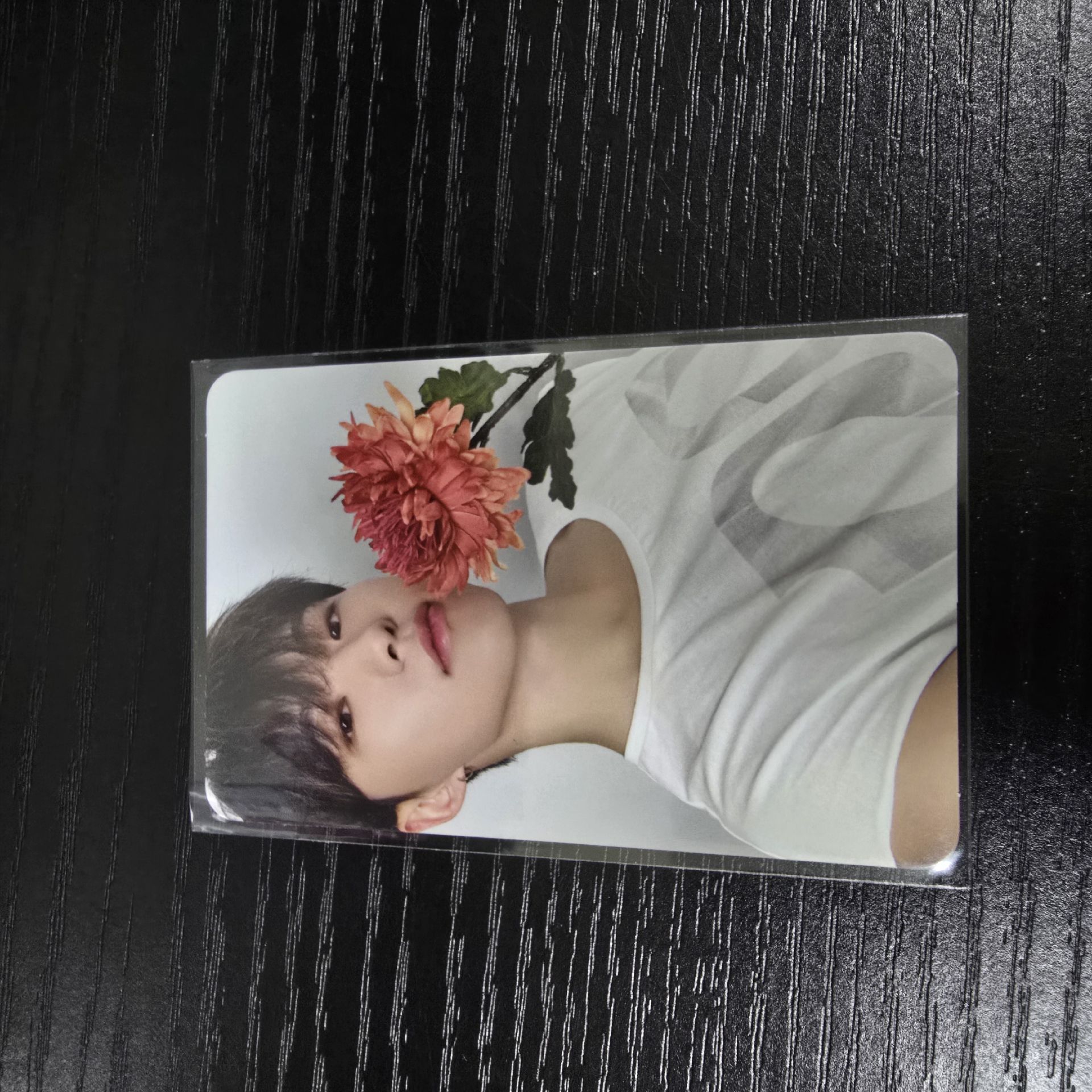 榮3｜綁奎八寛率燦任1