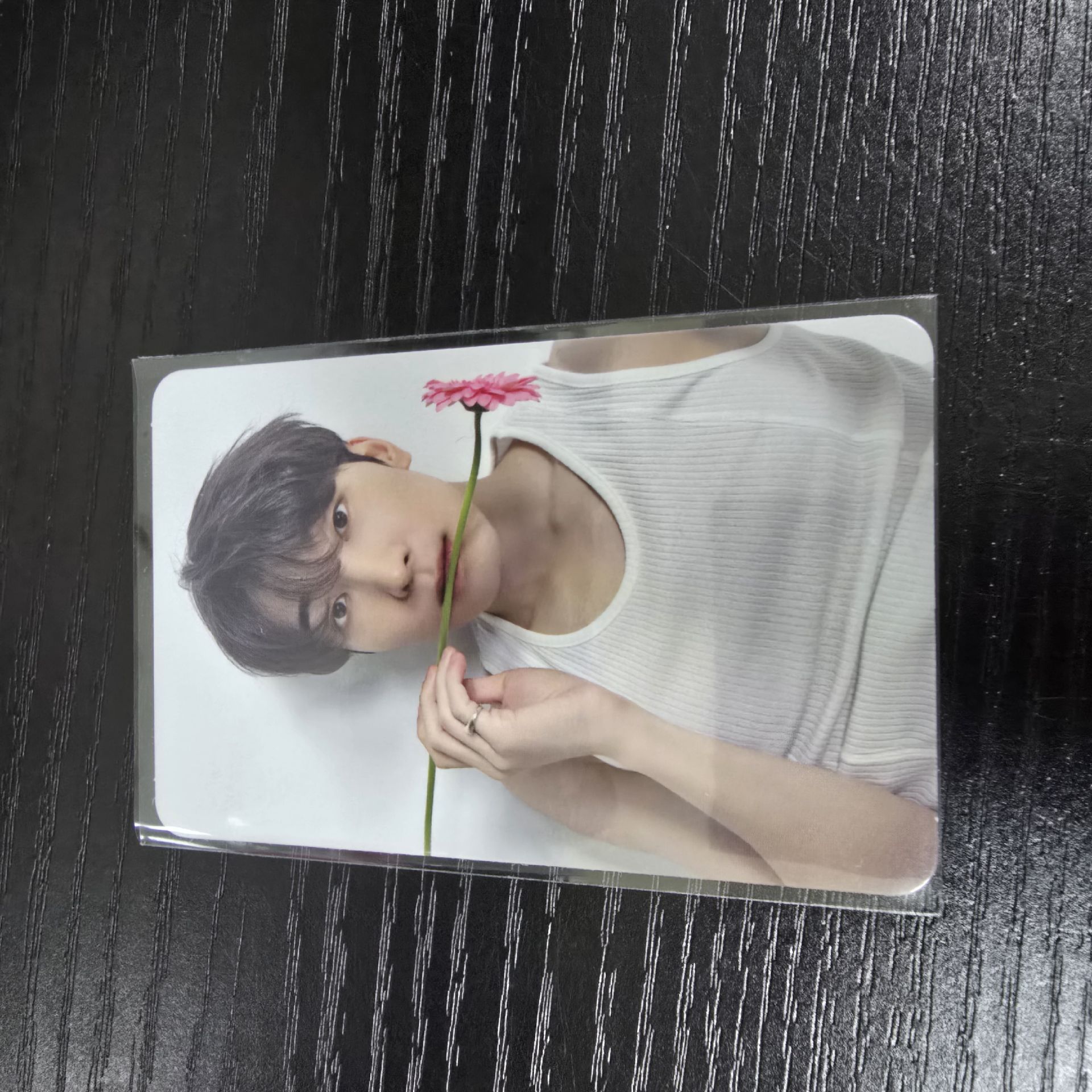 圓1｜綁奎八寛率燦任1