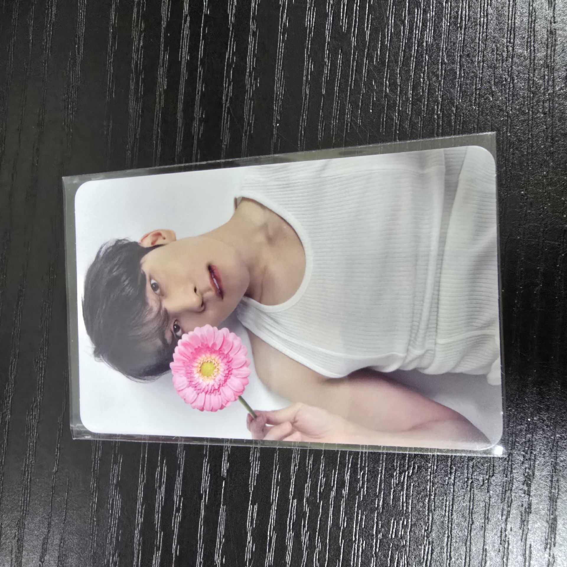 圓2｜綁奎八寛率燦任1