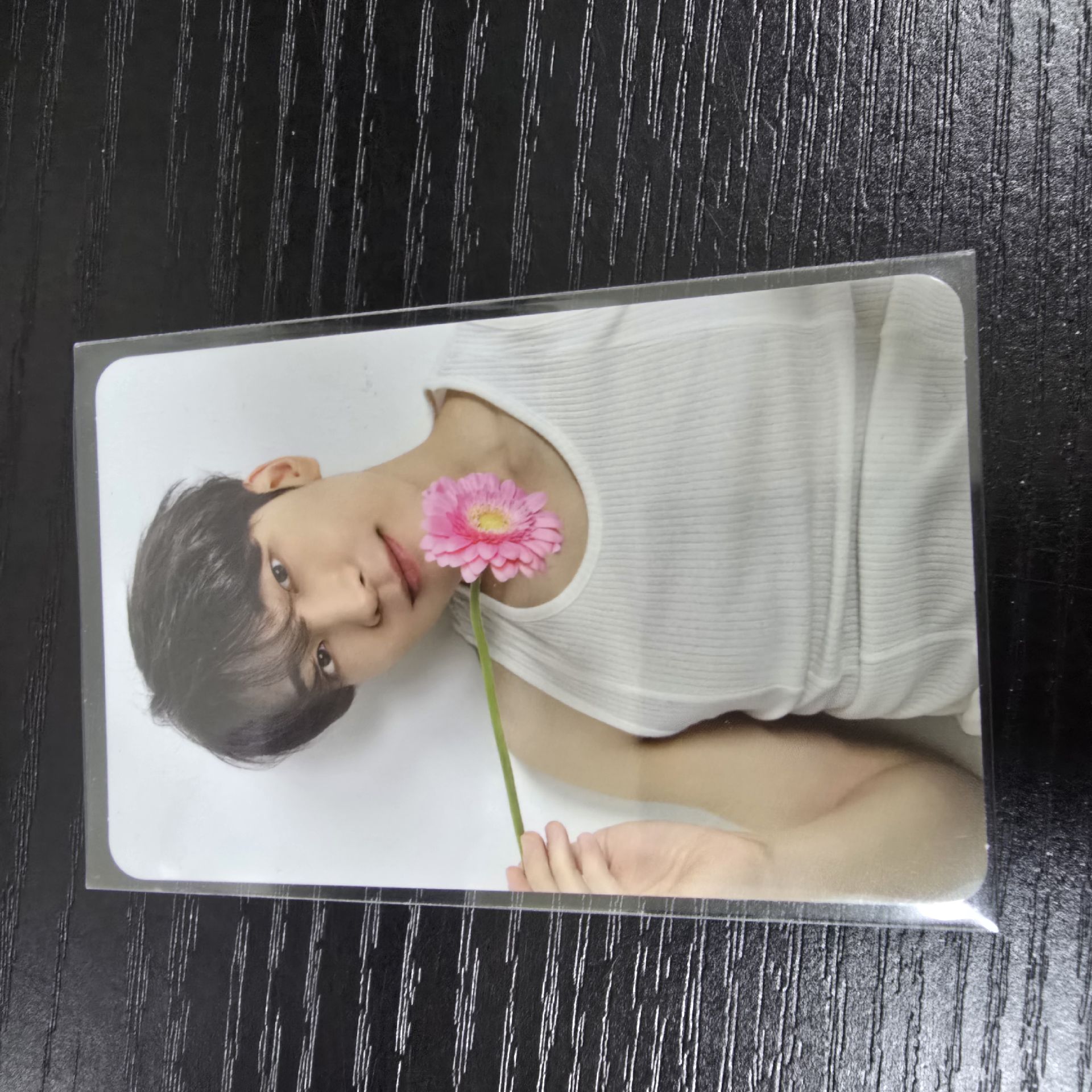 圓3｜綁奎八寛率燦任1