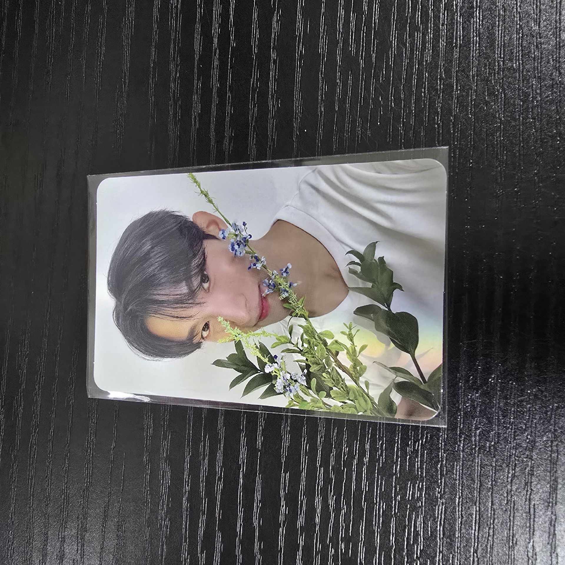 碩1｜綁奎八寛率燦任1