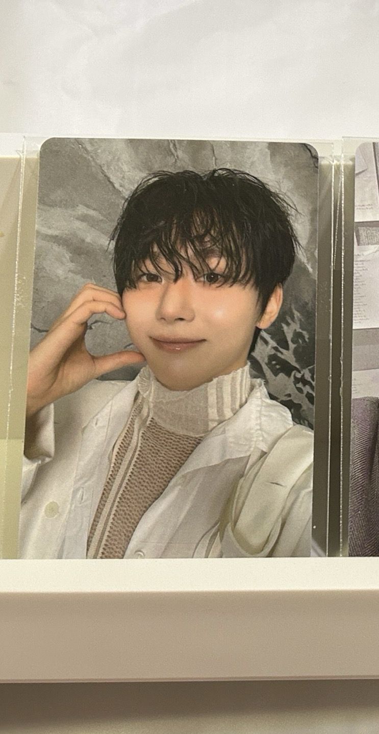 WVS compact版特典