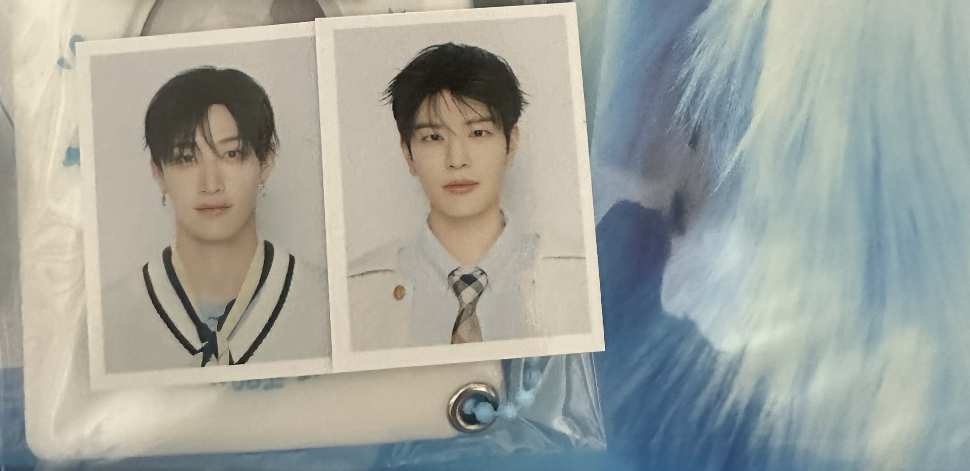 5期會員證件照2入