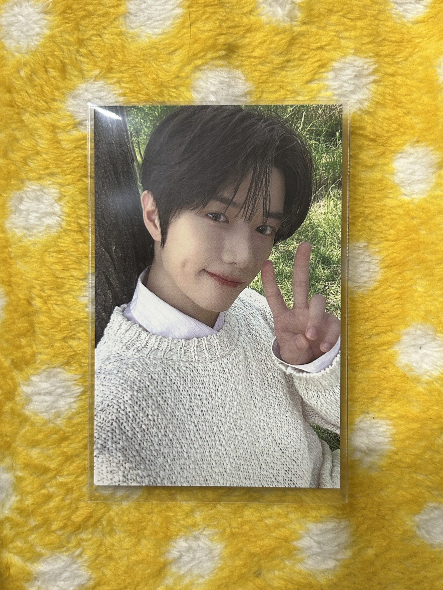 TXT｜崔杋圭 25’巡迴 台北粽卡（贈台北場紙鈔星星）