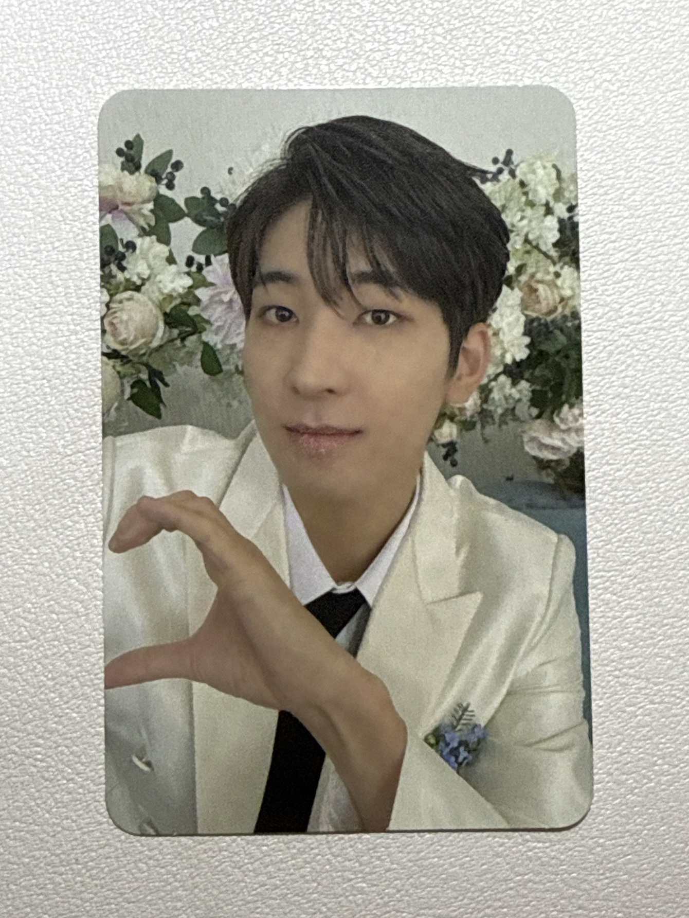 wonwoo MINI10 專輯卡 CARAT ver.
