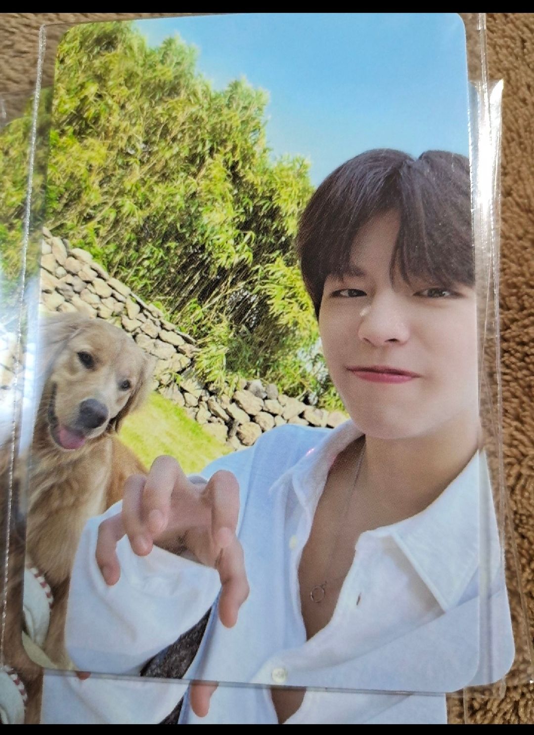 專拍 勿任意下單