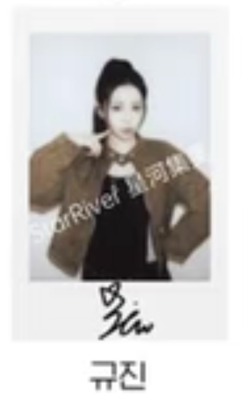 吸血鬼貓拍立得圭