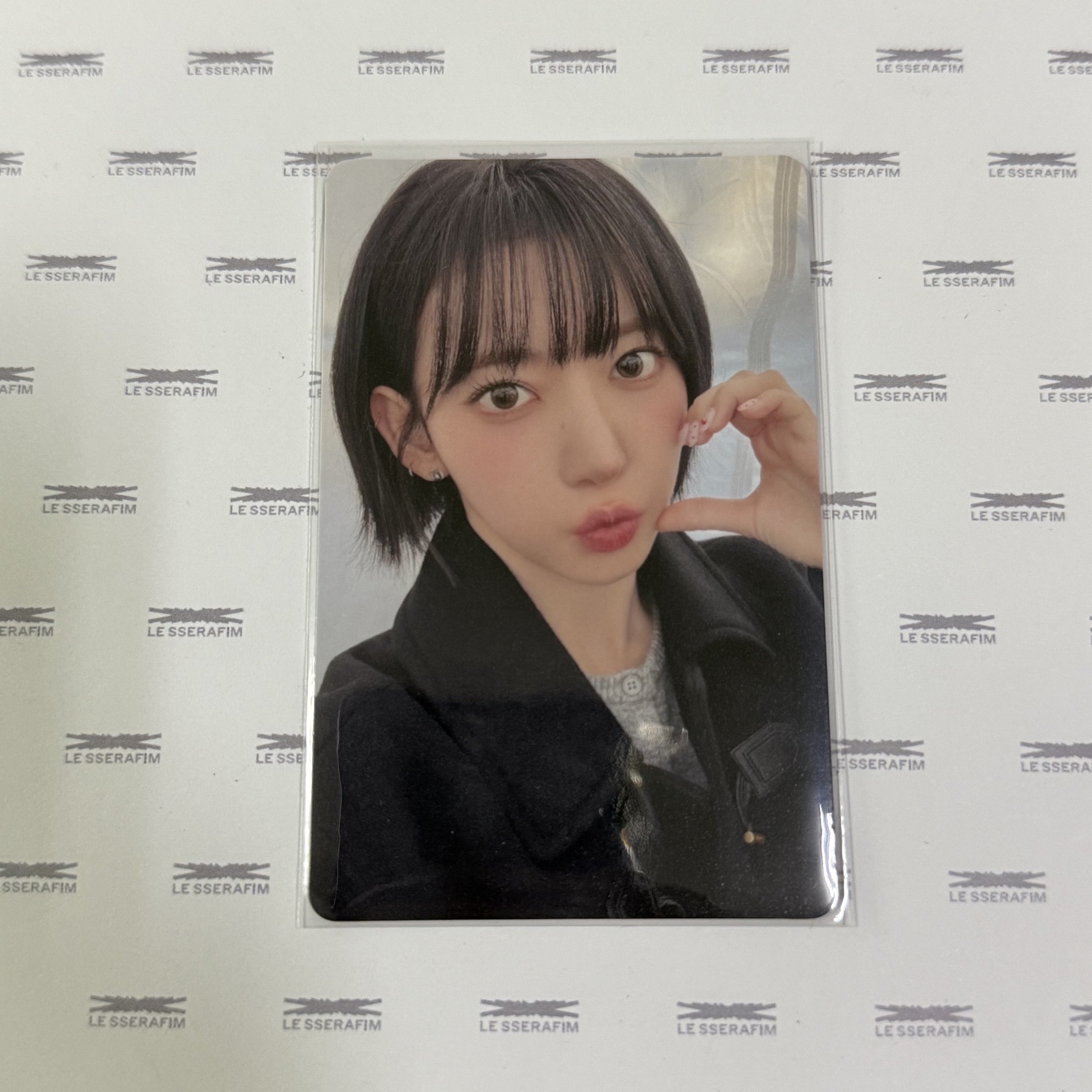 25‘巡迴 環球 東蛋安可 幸運卡 櫻花