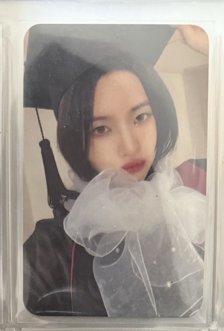 正規二 ms5.0畢業娟