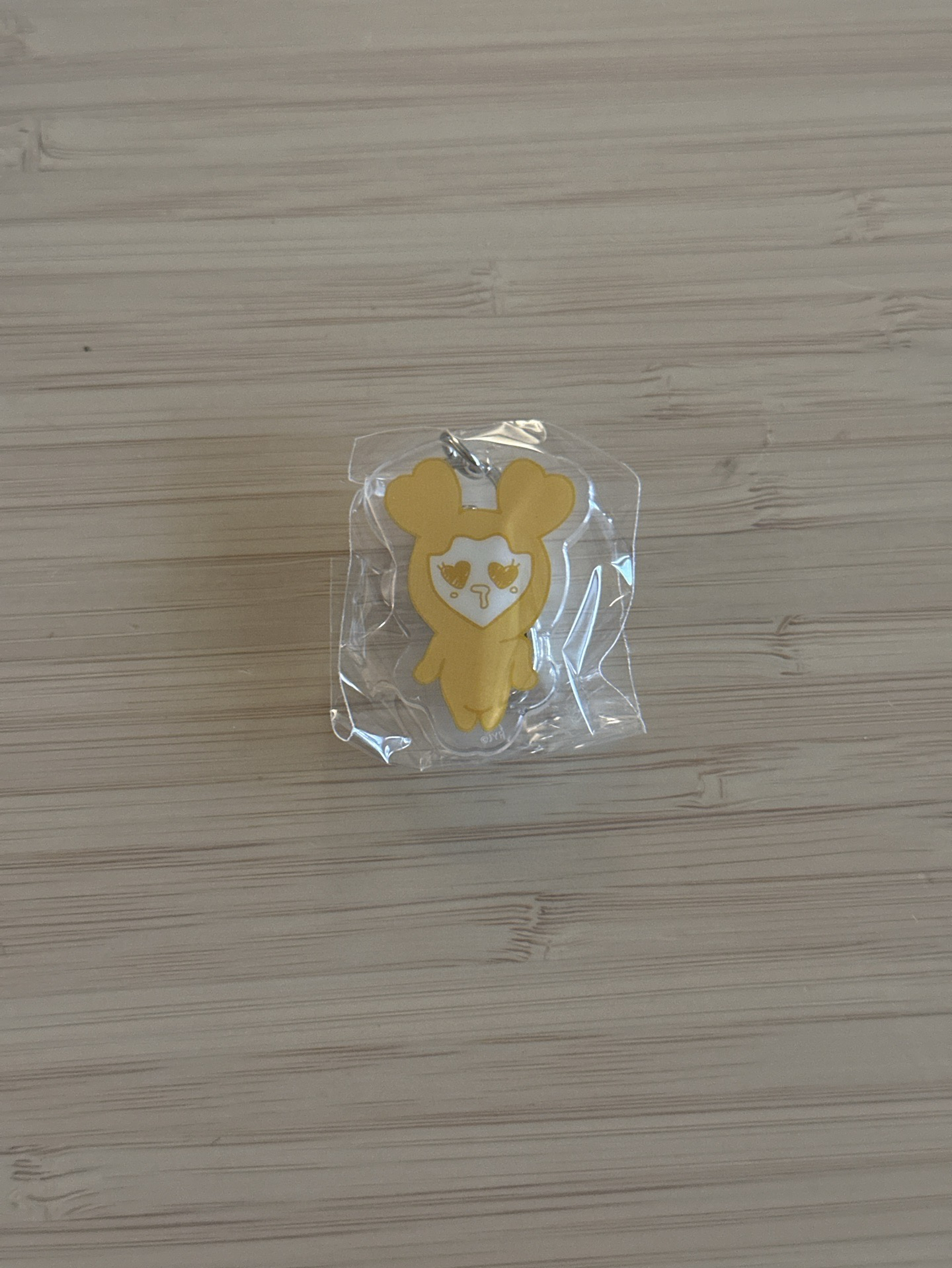 TWICE 十週年FM 志效鑰匙扣