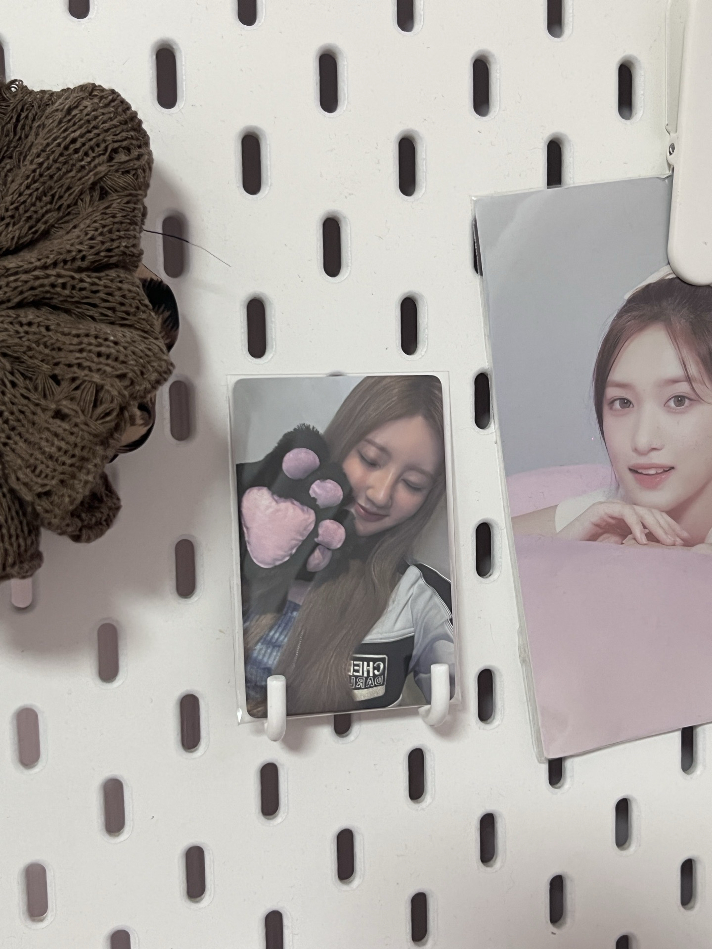 玫瑰日幸運卡貓爪藍