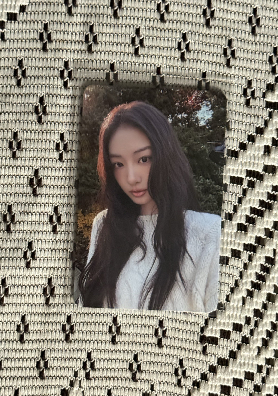 26年曆 tbl 特典卡 gawon