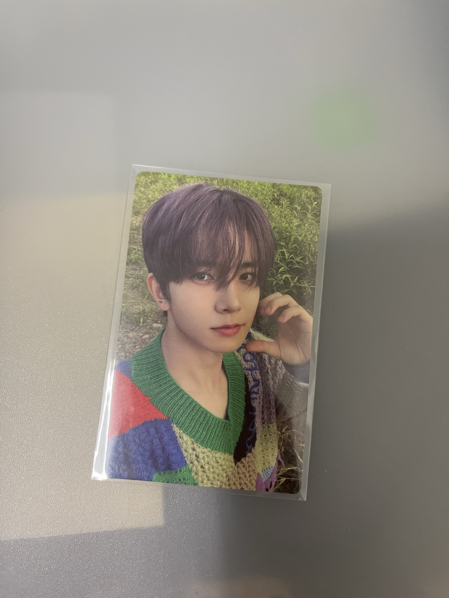 小紫毛羲迷五單封隨機卡