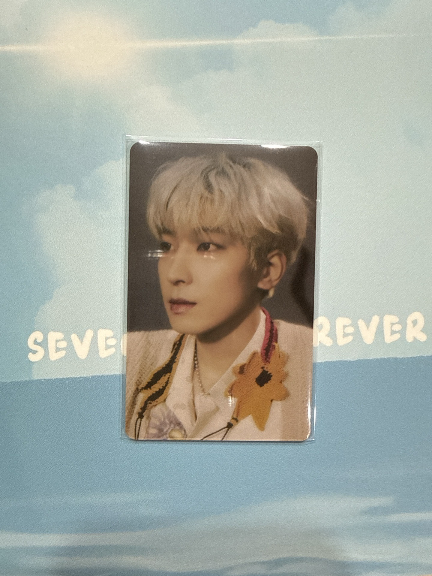 正四（QR未掃）