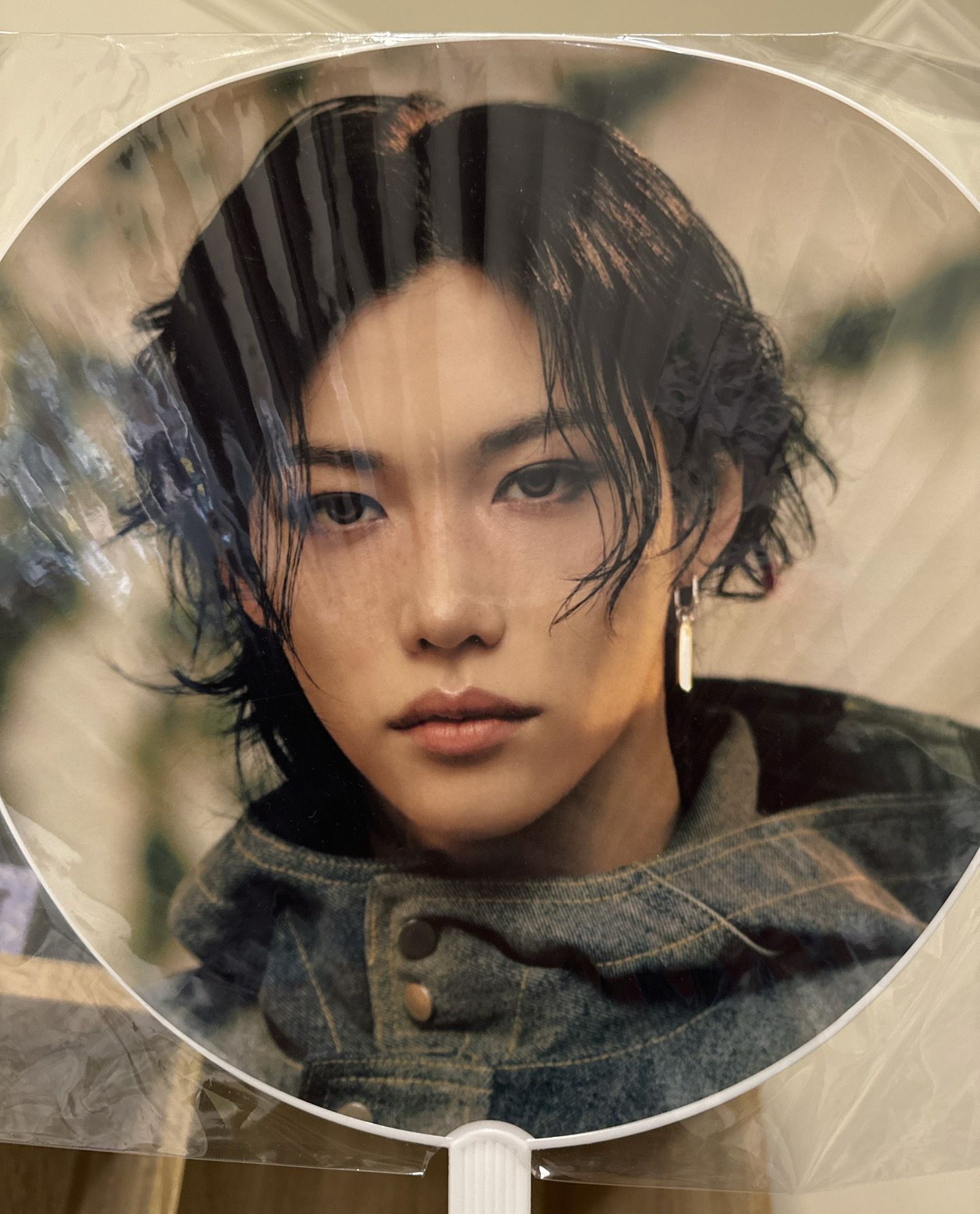 Felix大王扇Hollow