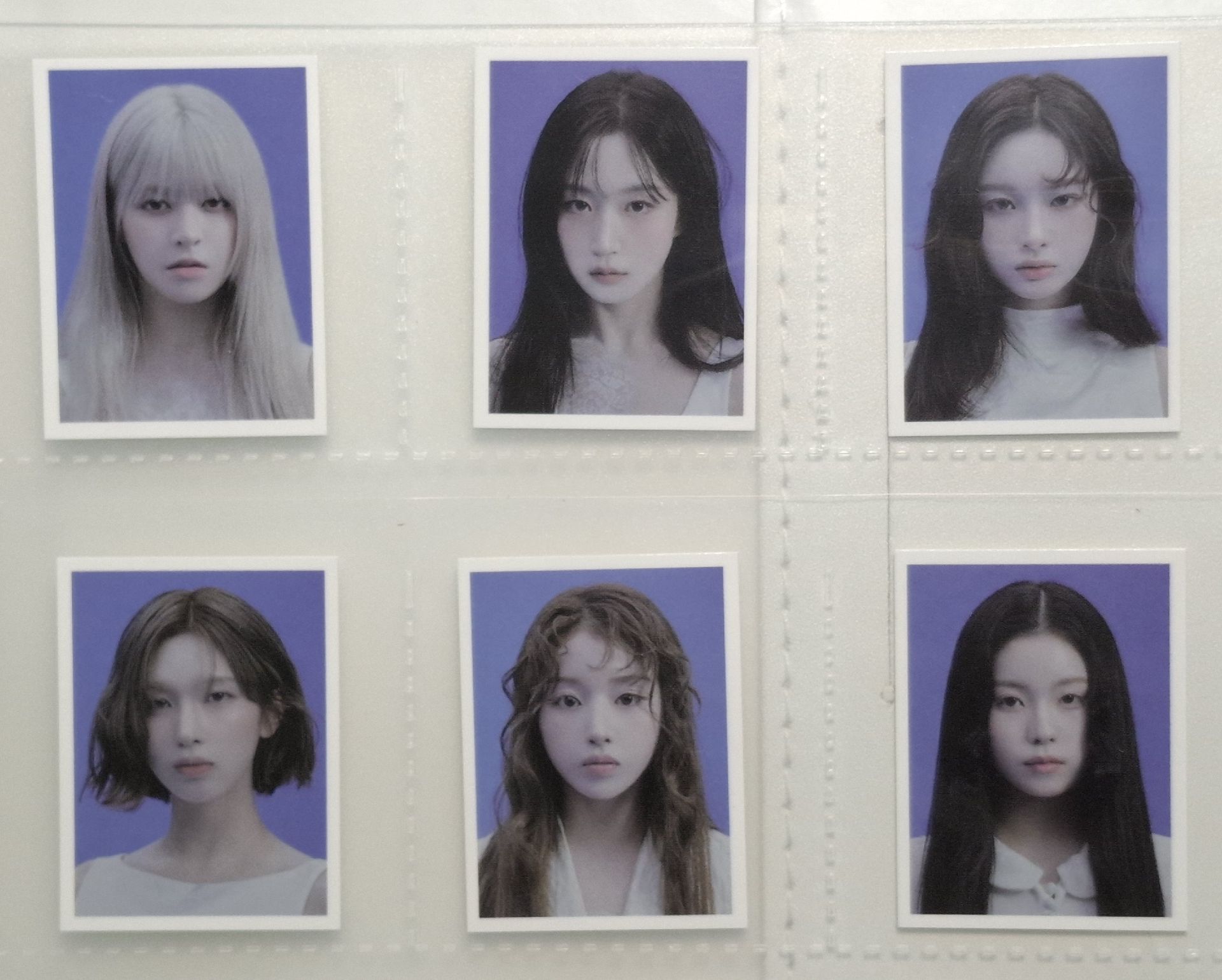 恩米藍情證件照